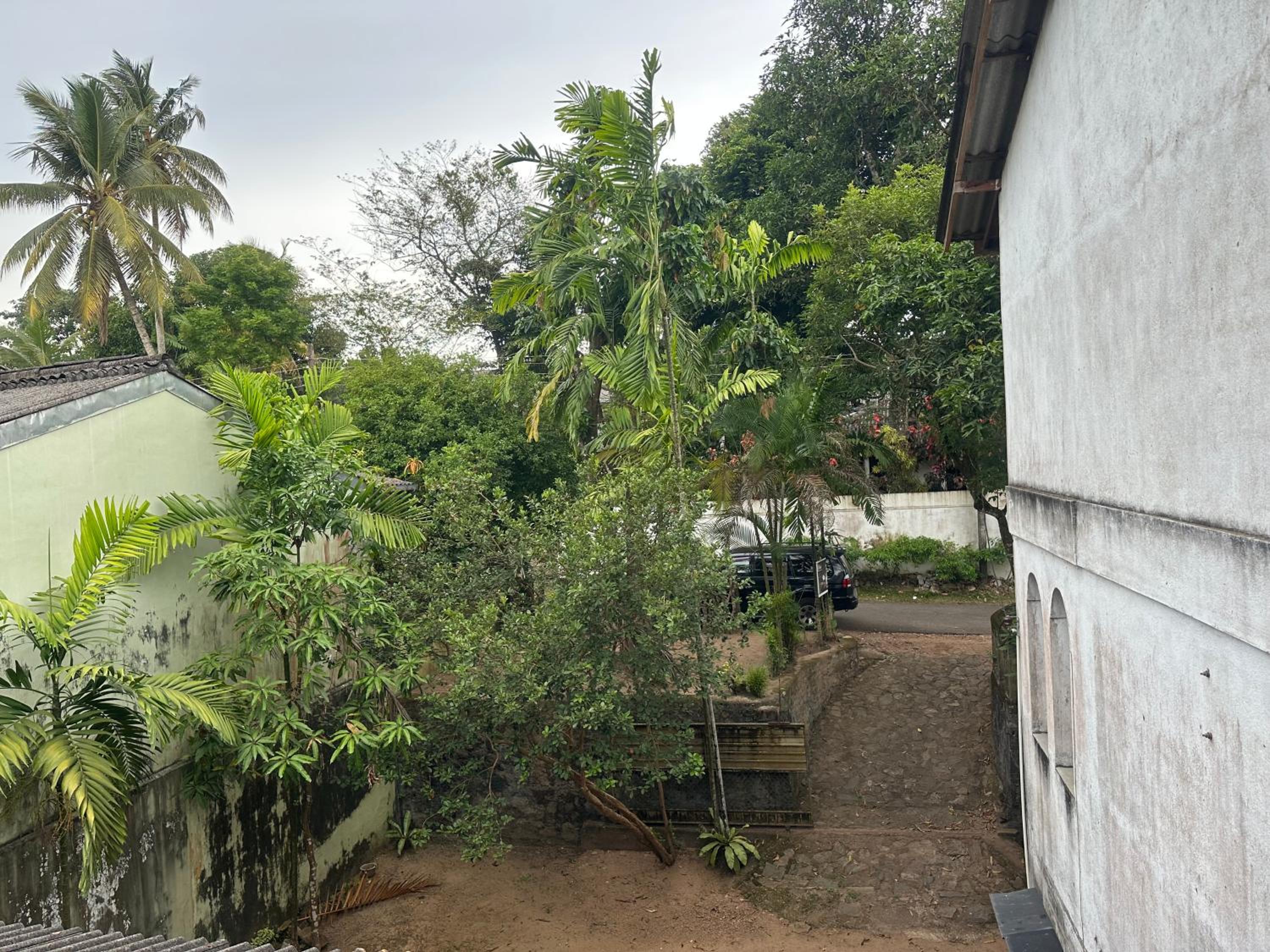 Mango Tree Home Stay