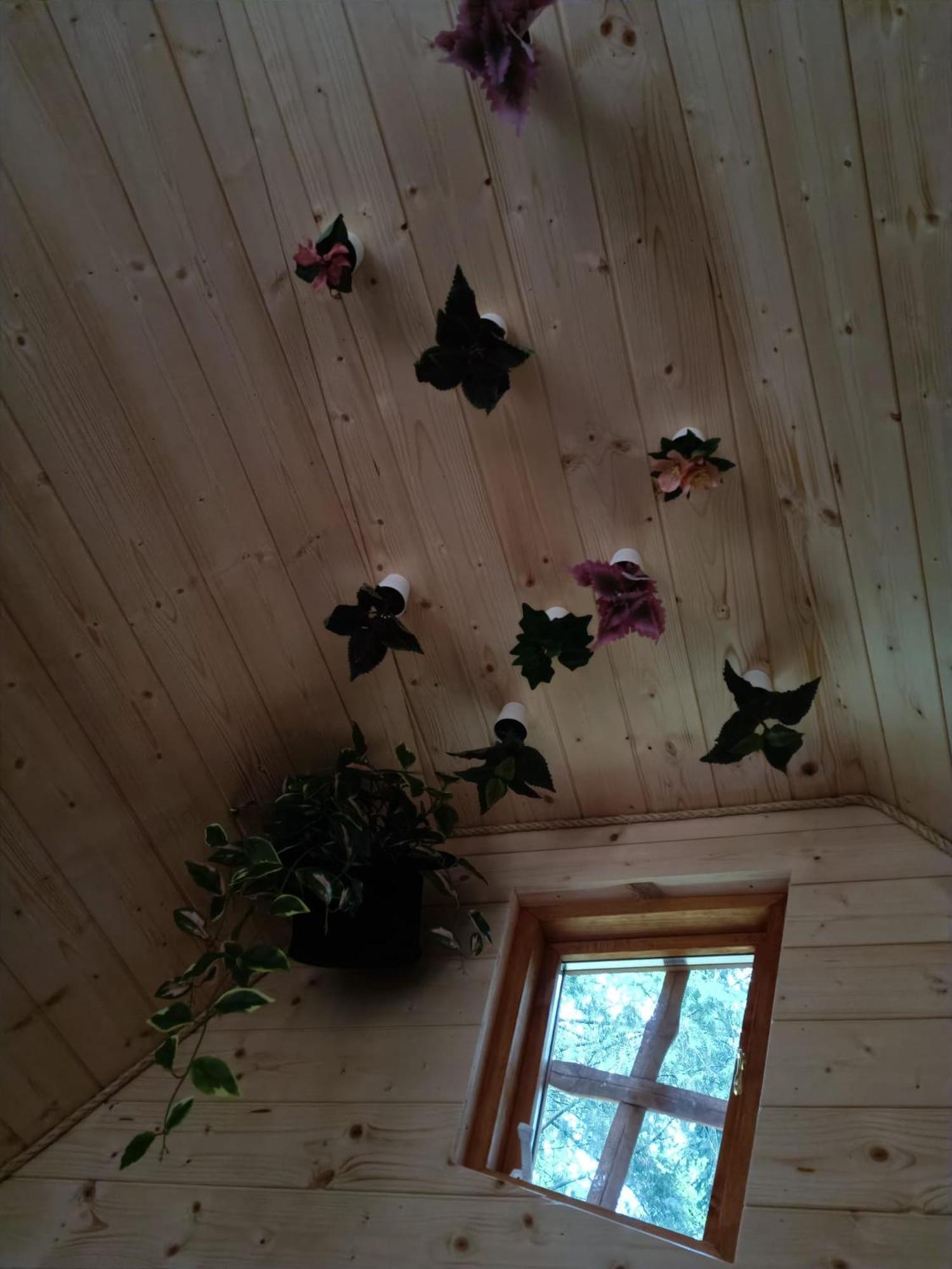 les Refuges du Chalet view 4