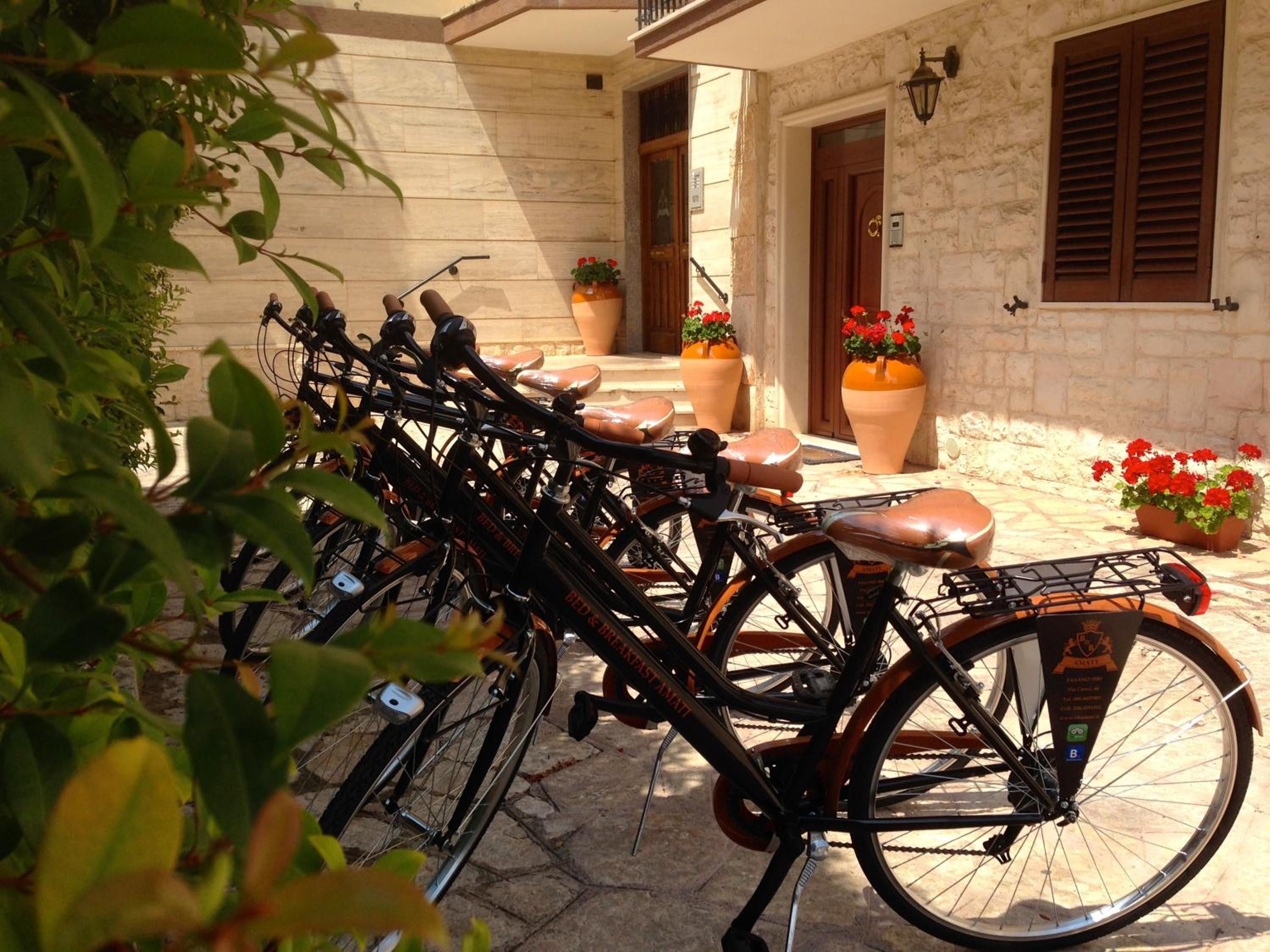 activities & amenities