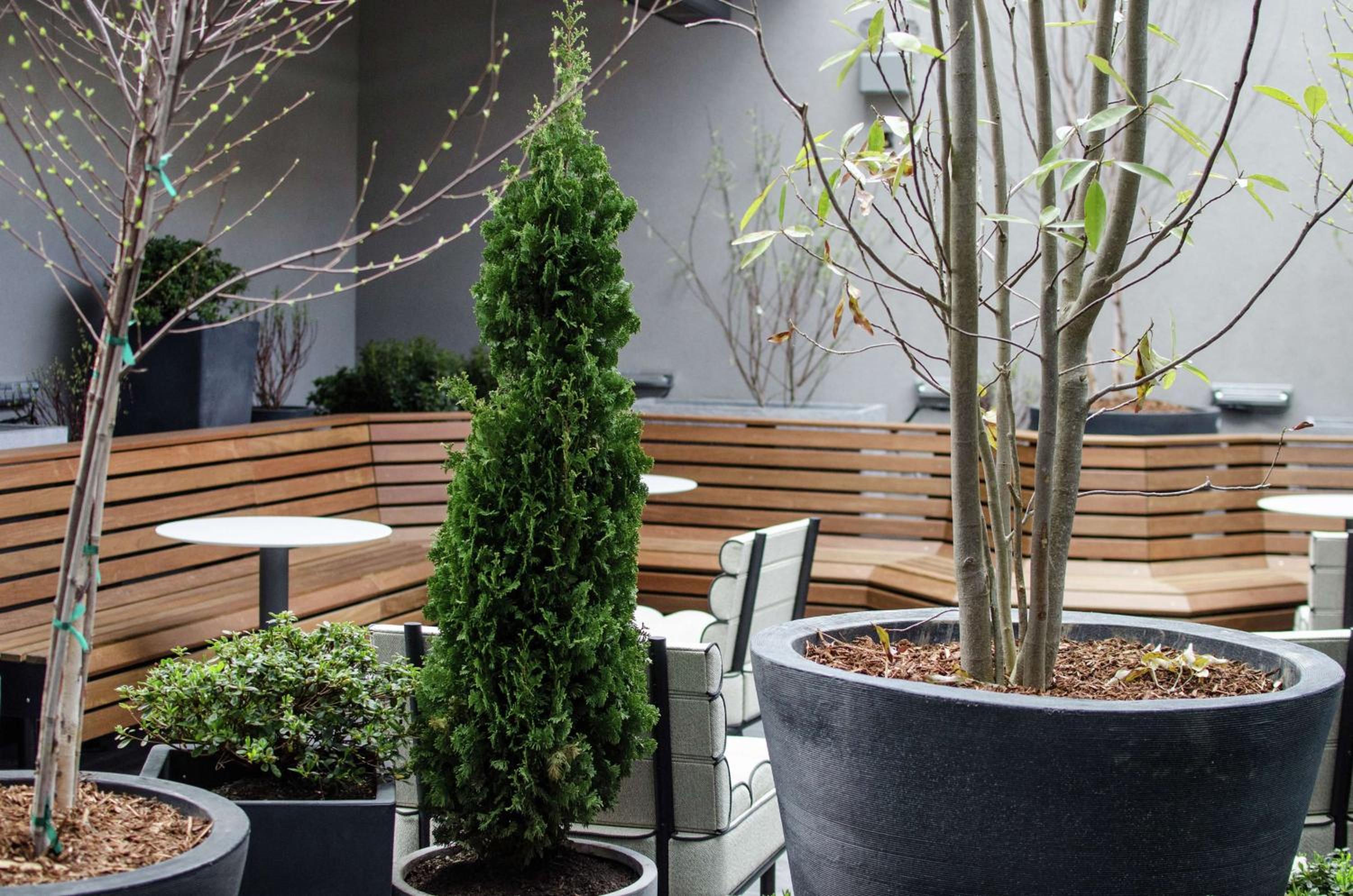 Boston Vacations - Freepoint Hotel Cambridge, Tapestry Collection by Hilton - Property Image 2