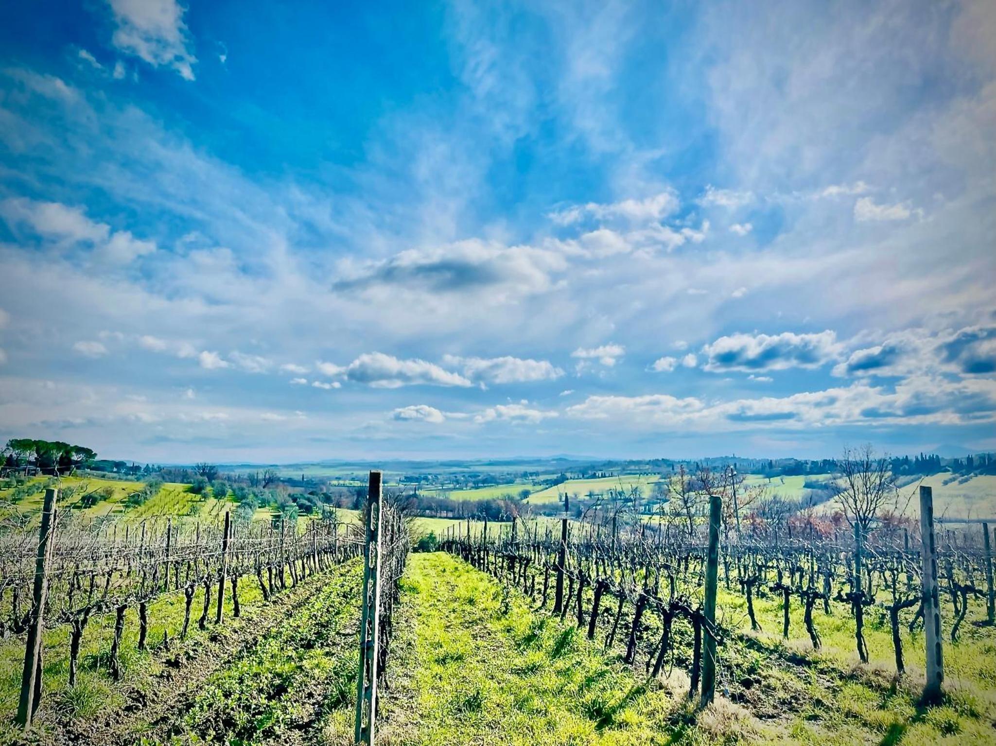 Agriturismo CasaViVa