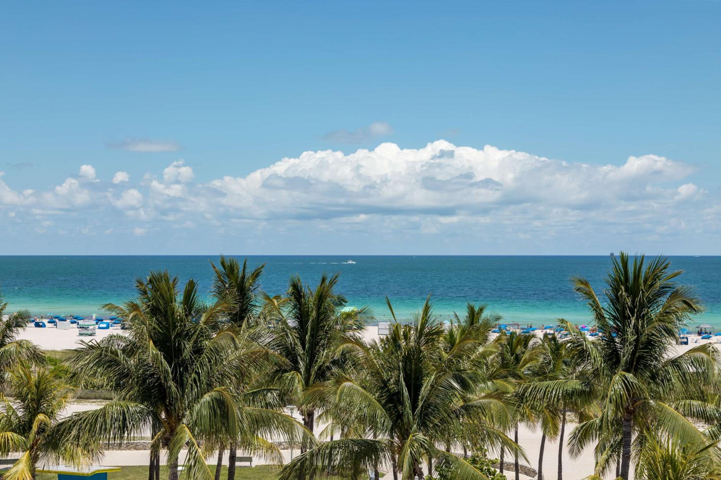 Park Central South Beach, Billede 13