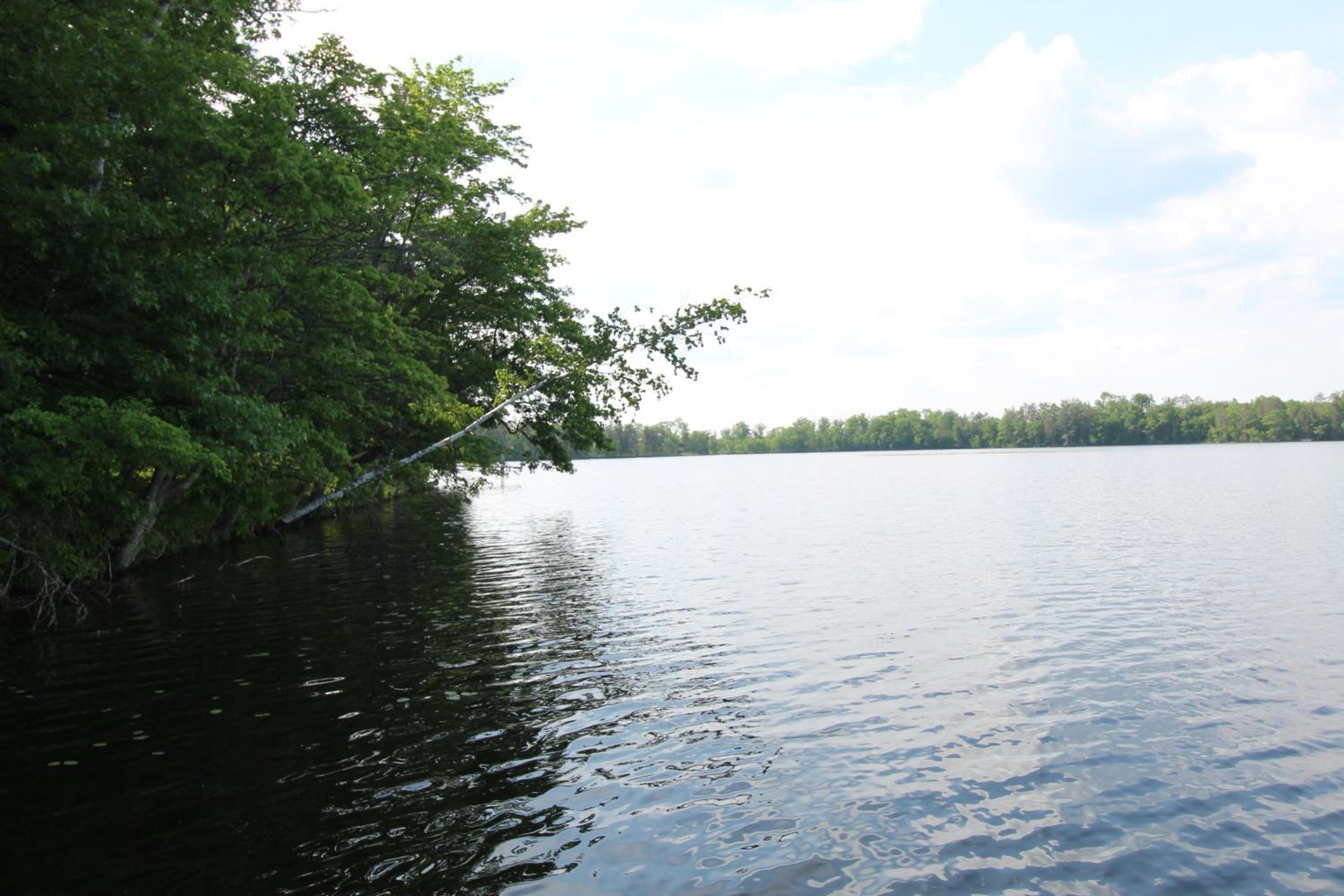 Photo 46