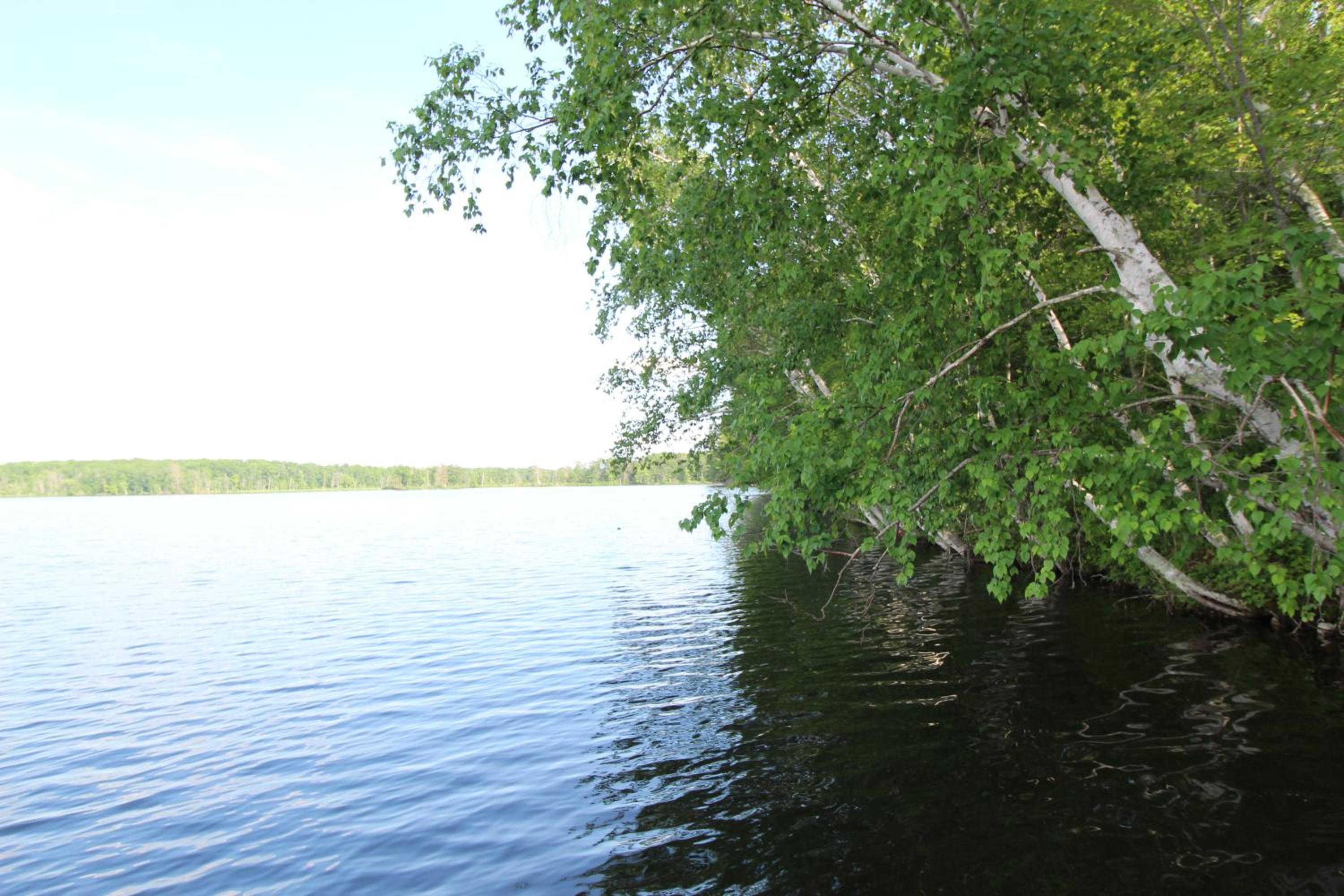 Photo 49
