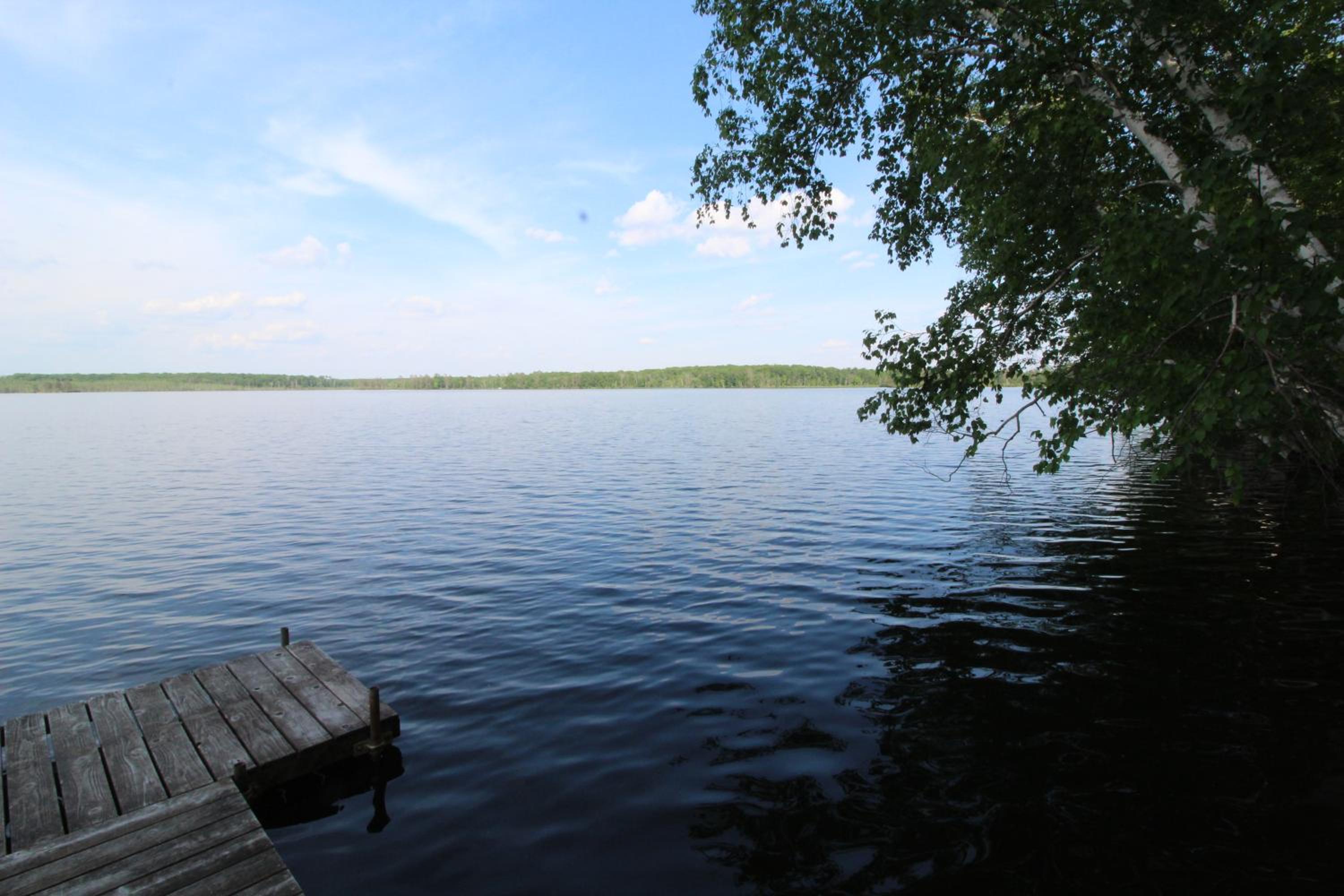 Photo 48