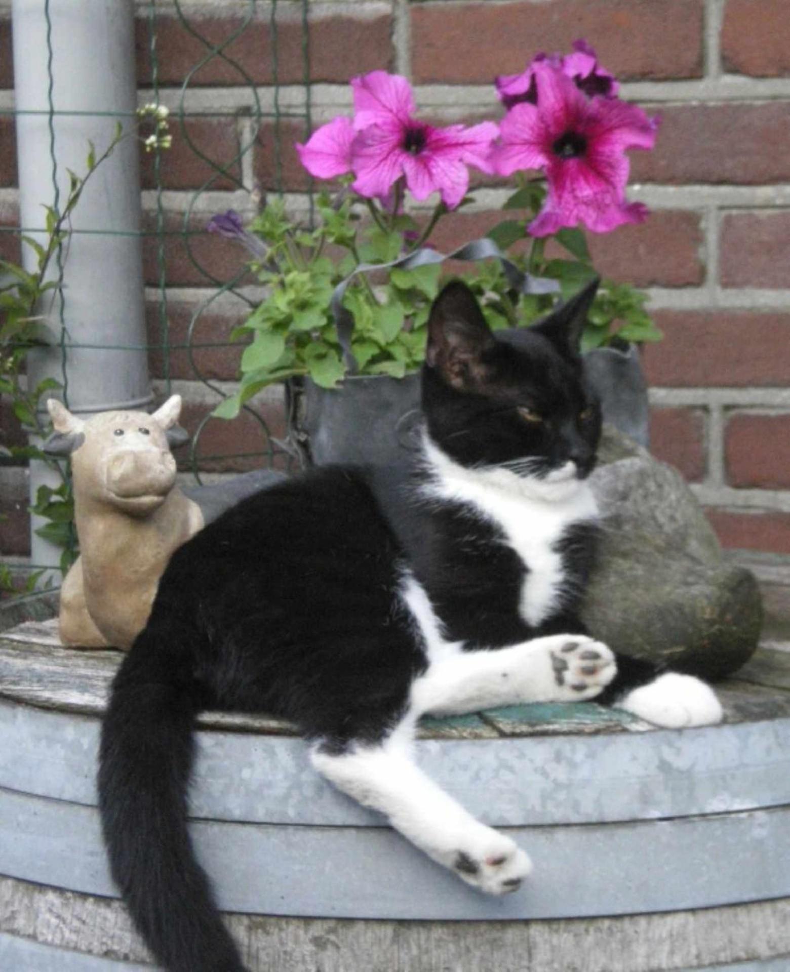 Photo 40