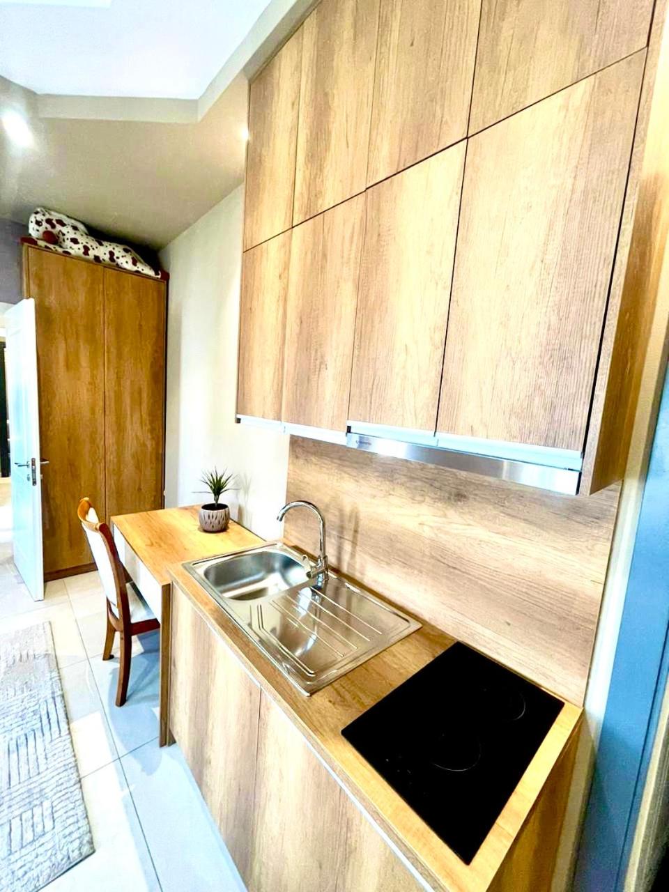 Alb Studio Apartments - Easy Access to City Center