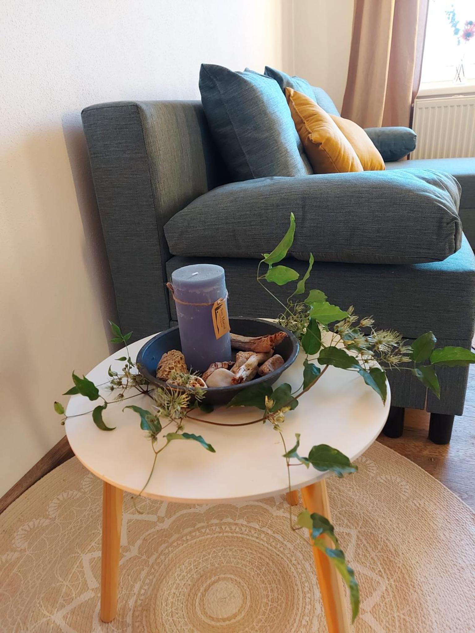 Wildkraut's Kräuter- und Alpakabauernhof