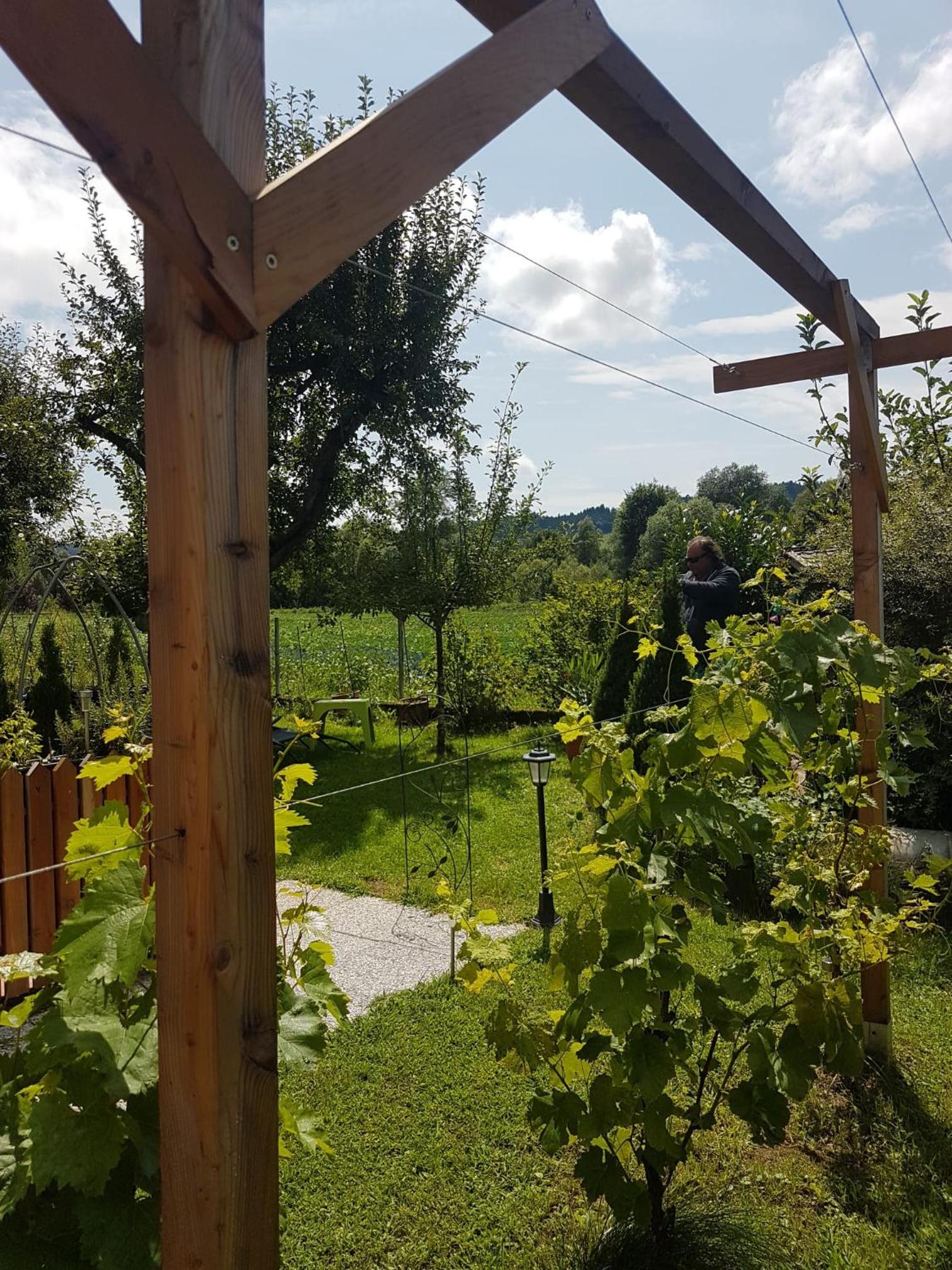 Hof Notburga - Erholung, Ruhe & Natur pur