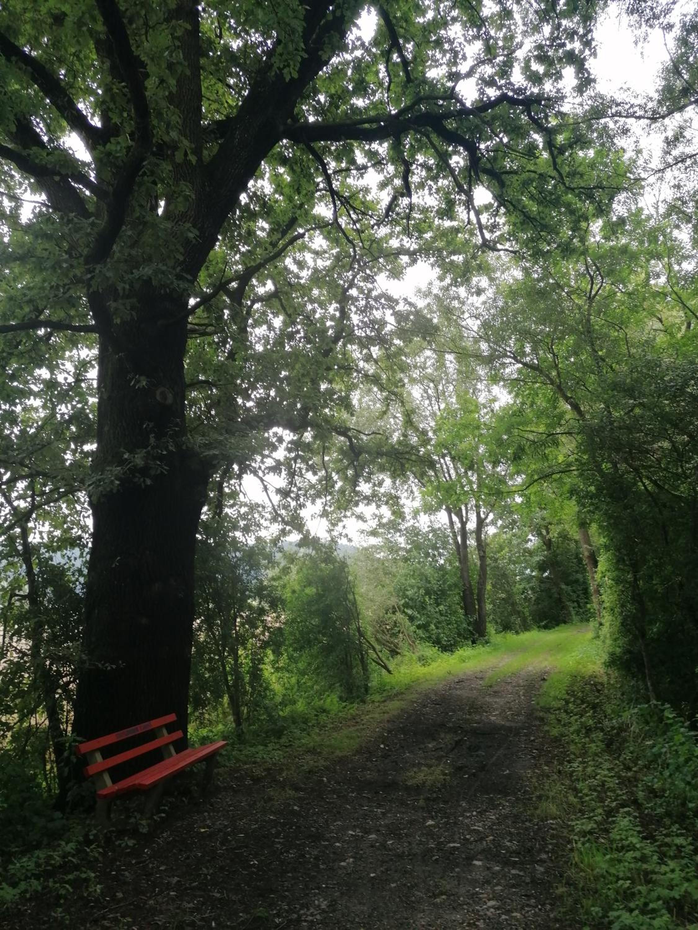 Hof Notburga - Erholung, Ruhe & Natur pur