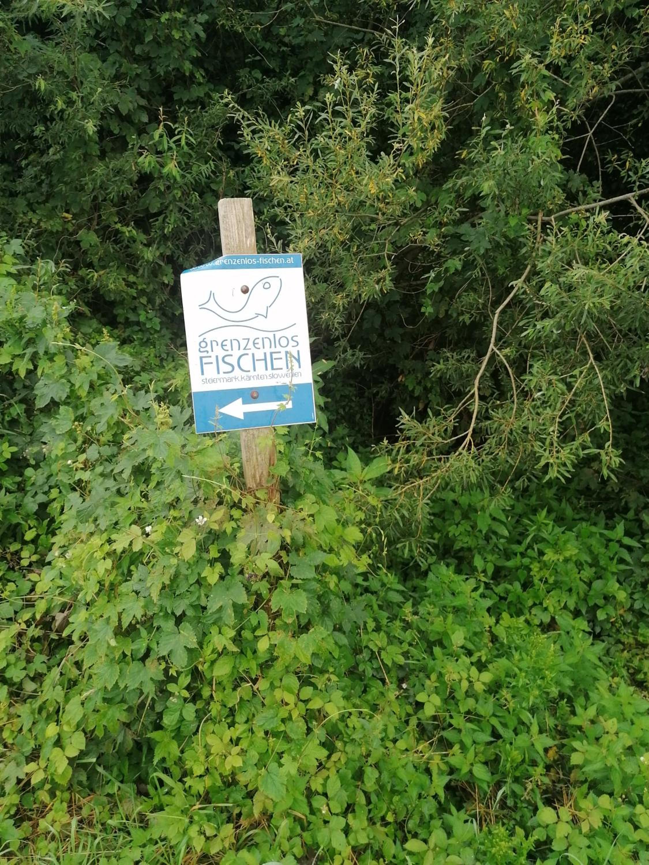 Hof Notburga - Erholung, Ruhe & Natur pur