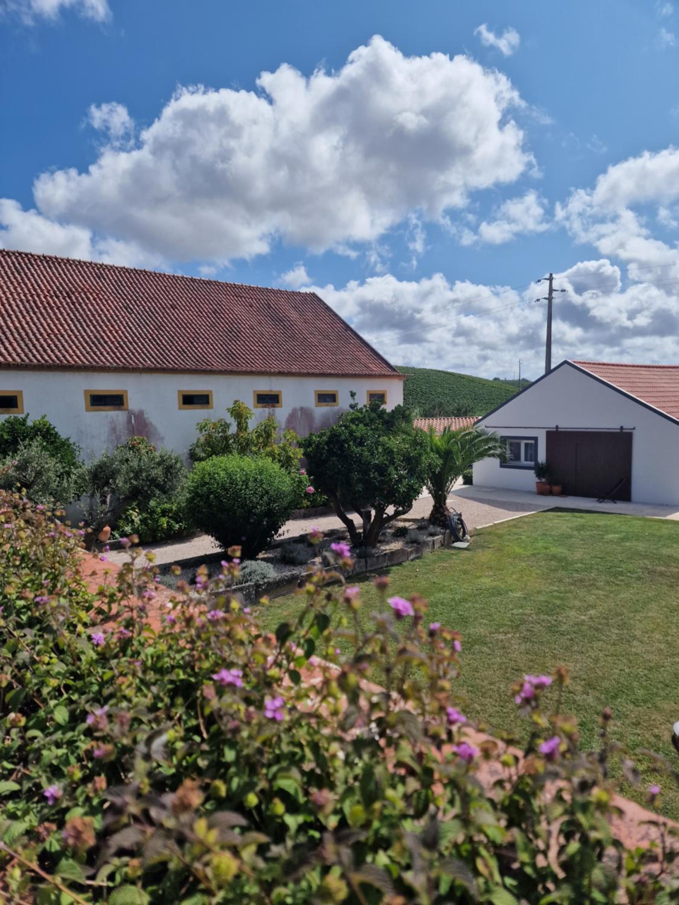 Hotel Casa Nikana - Image 1