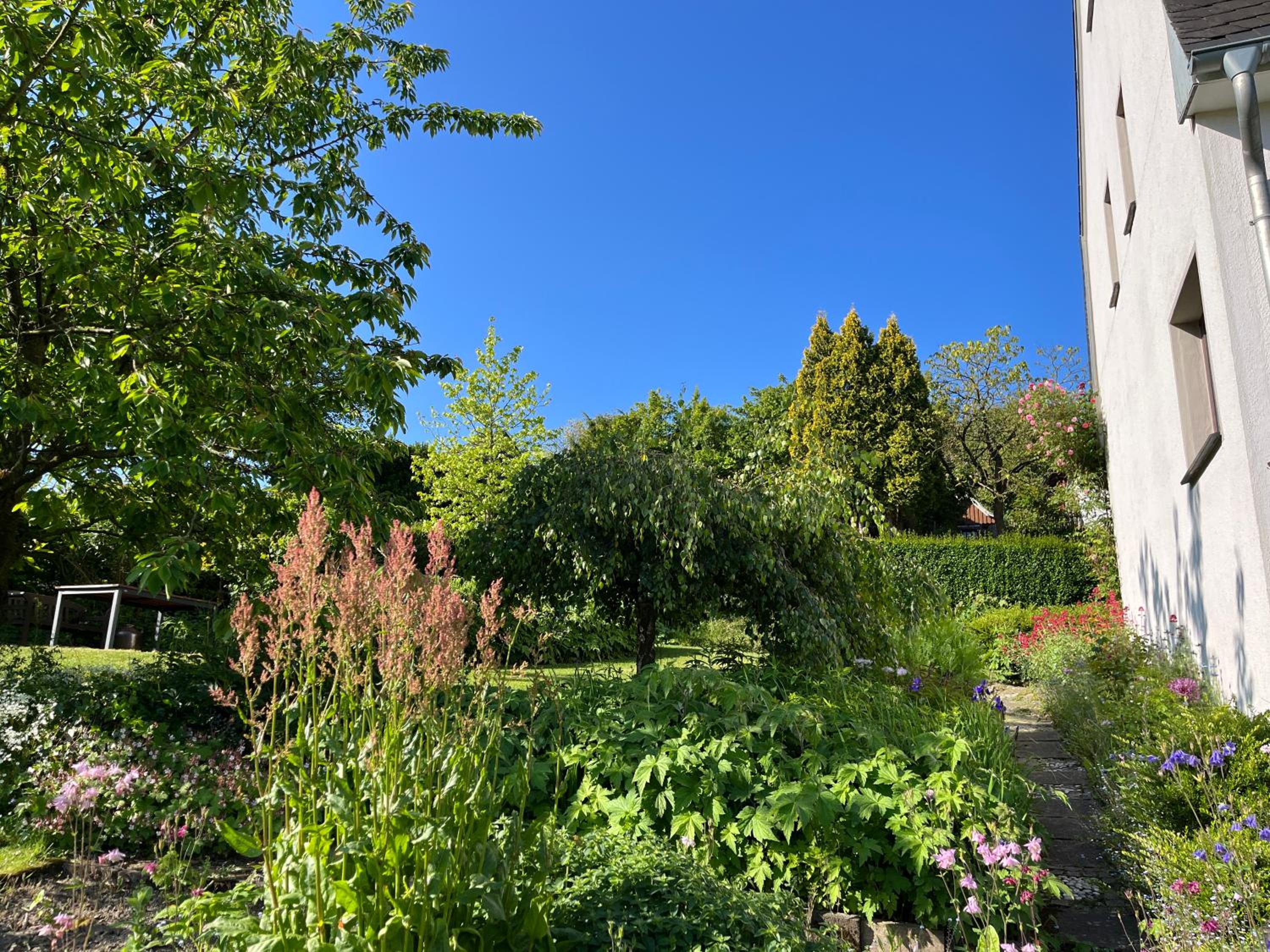 Ferienhaus Brinker Bleibe