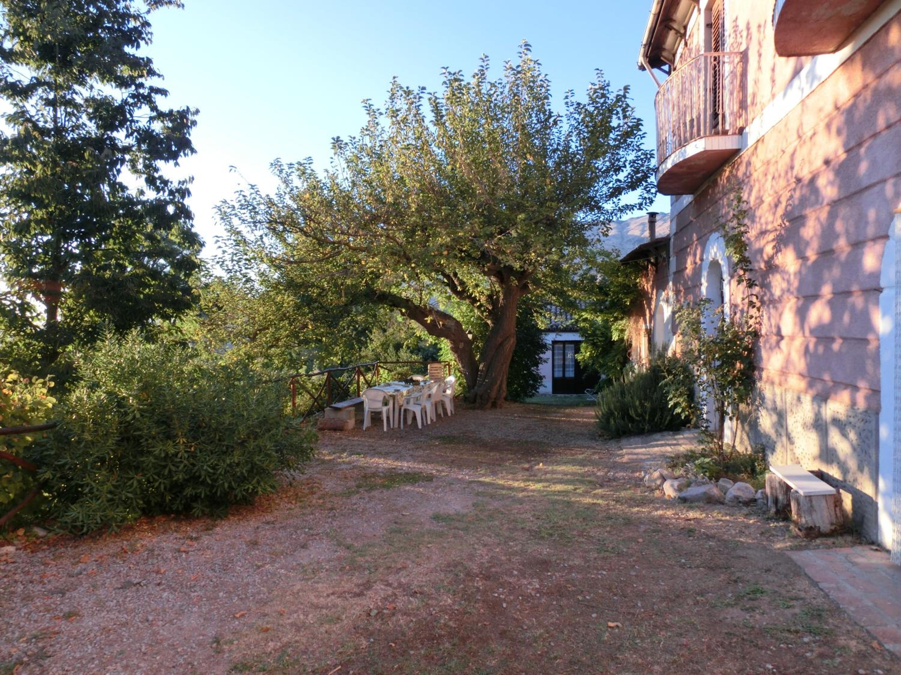 Photo 23