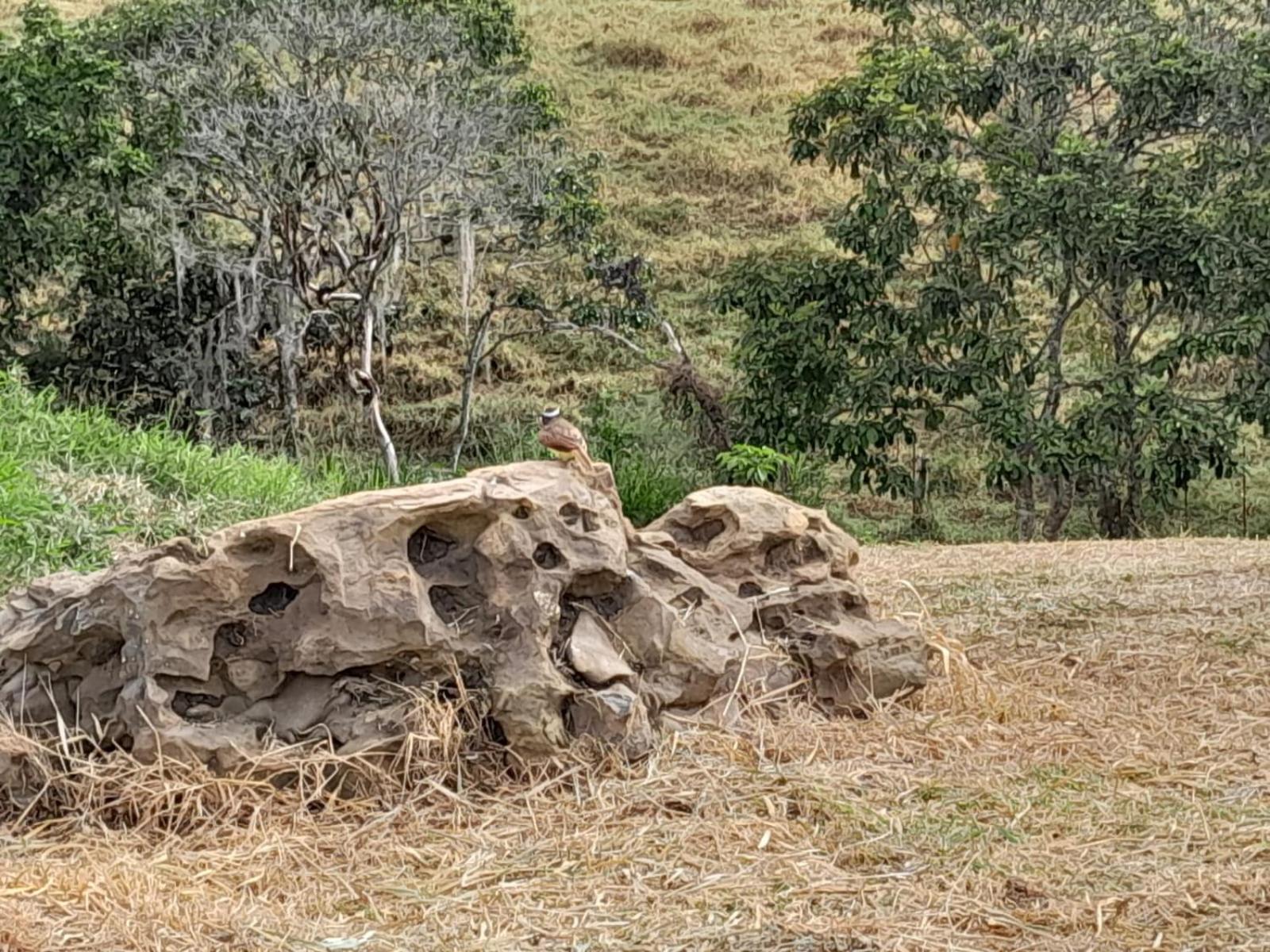 CASA CAMPESTRE COMPLETa