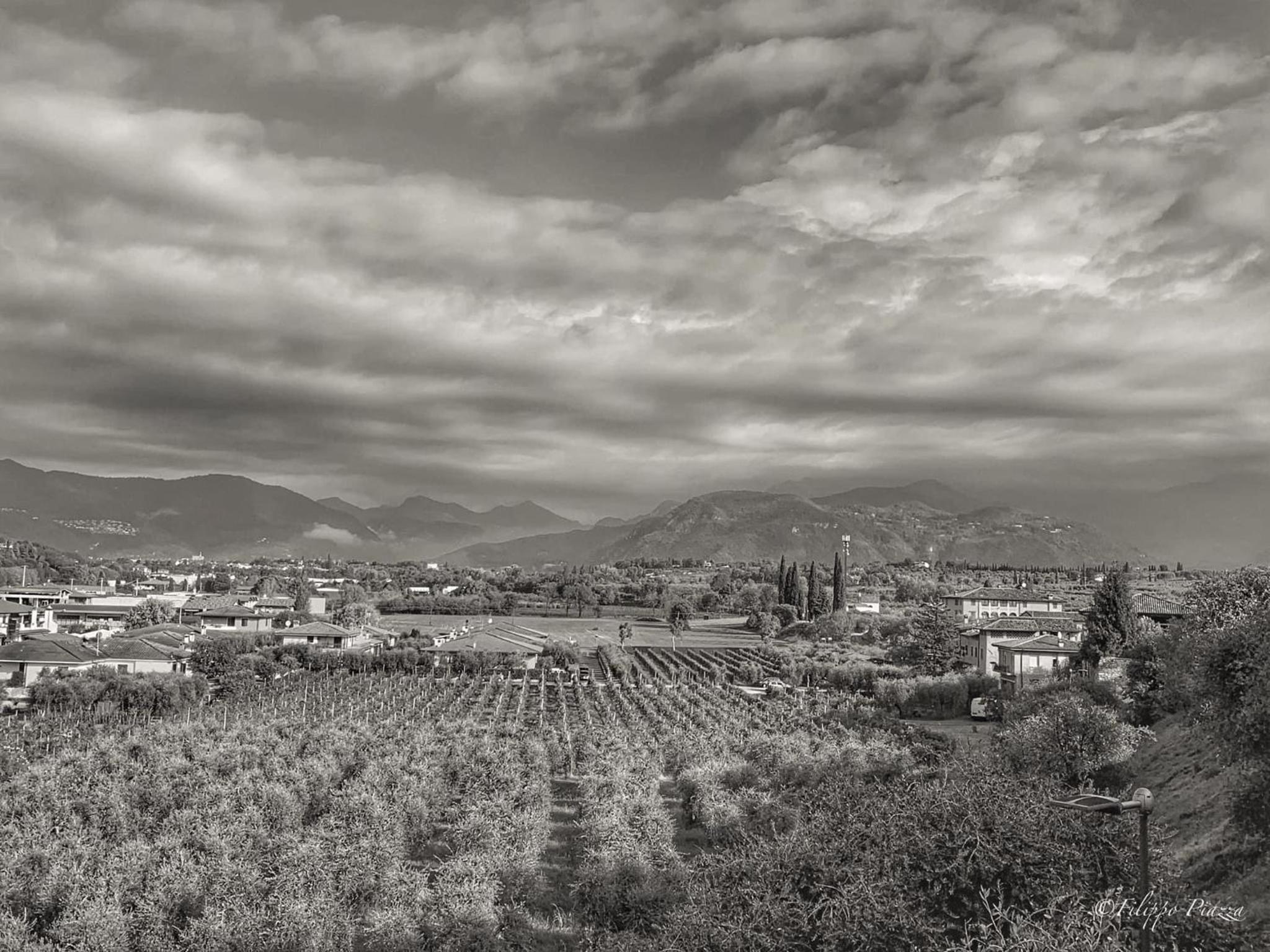 In piazzetta view 2
