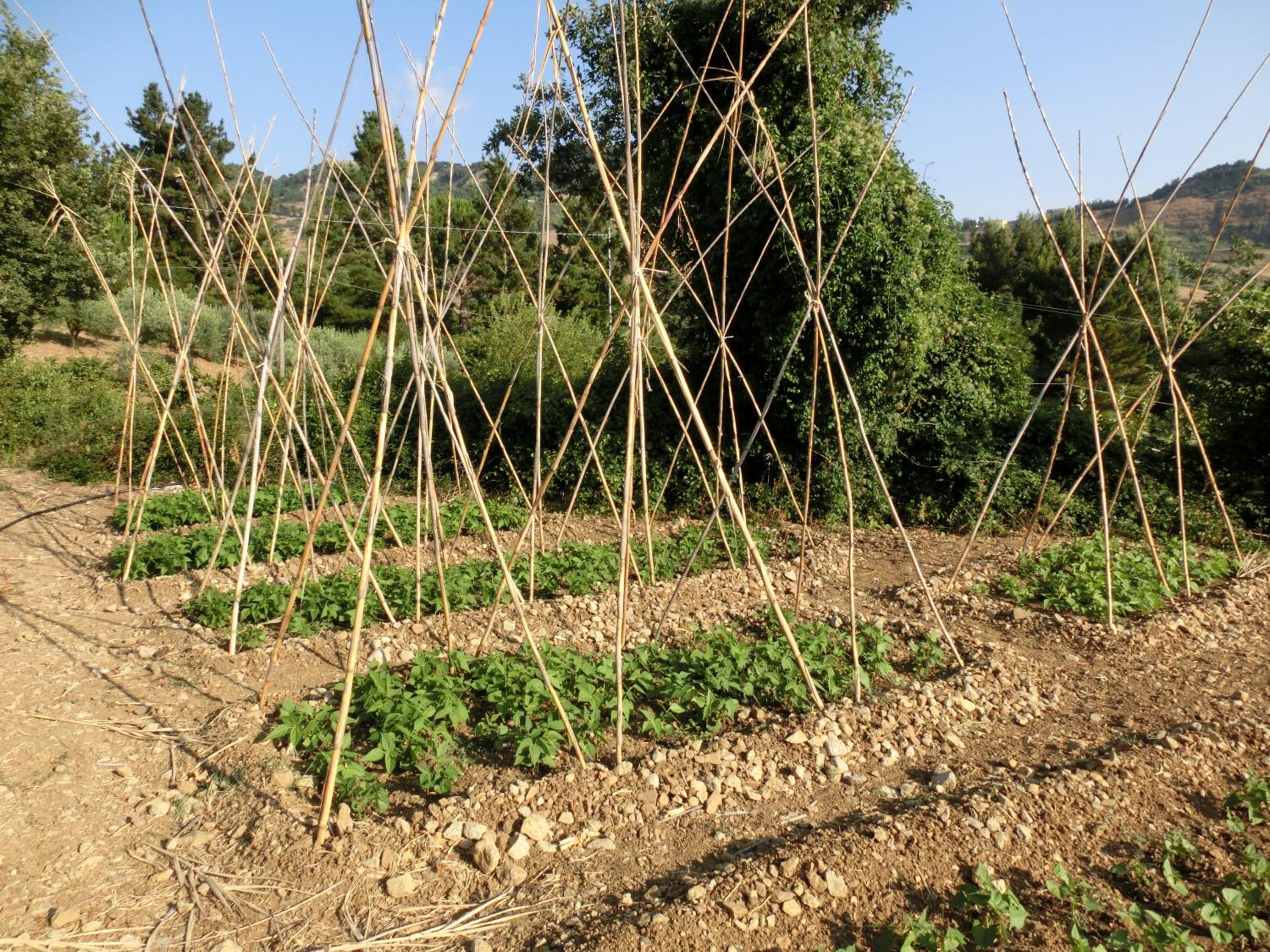 Photo 27