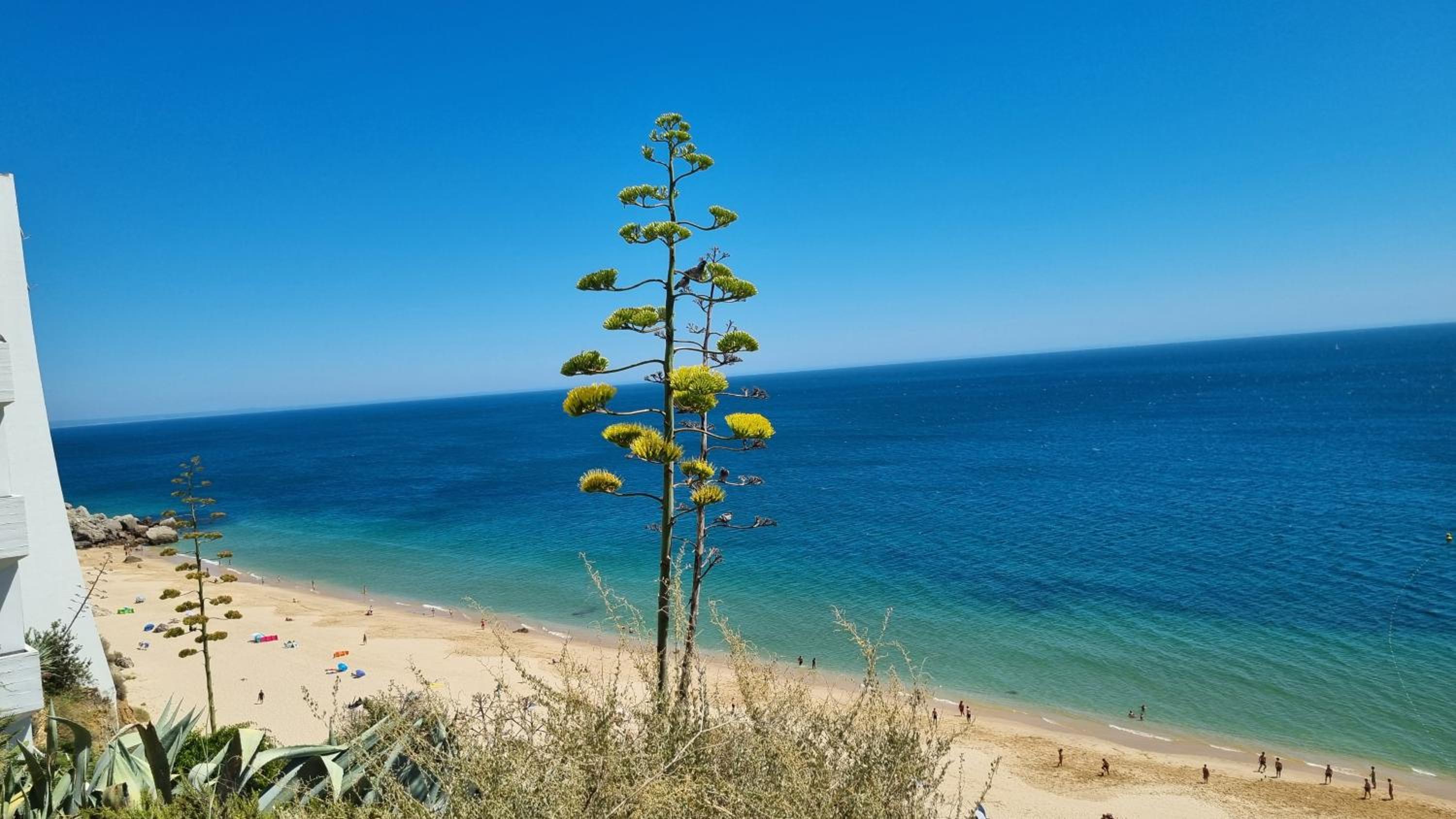Sesimbra Sun&Sea - Beachfront Apartment! view 4