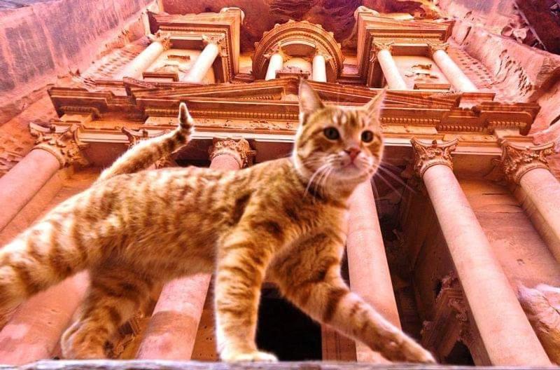 Extra Traveller