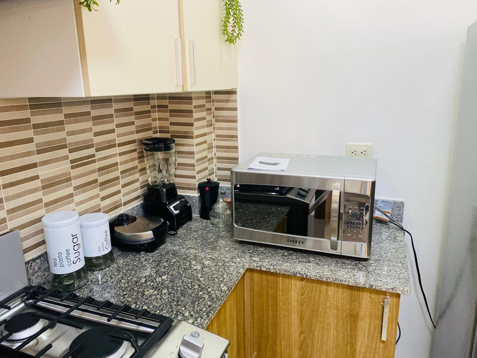 Confortable y lujoso apartamento en santiago
