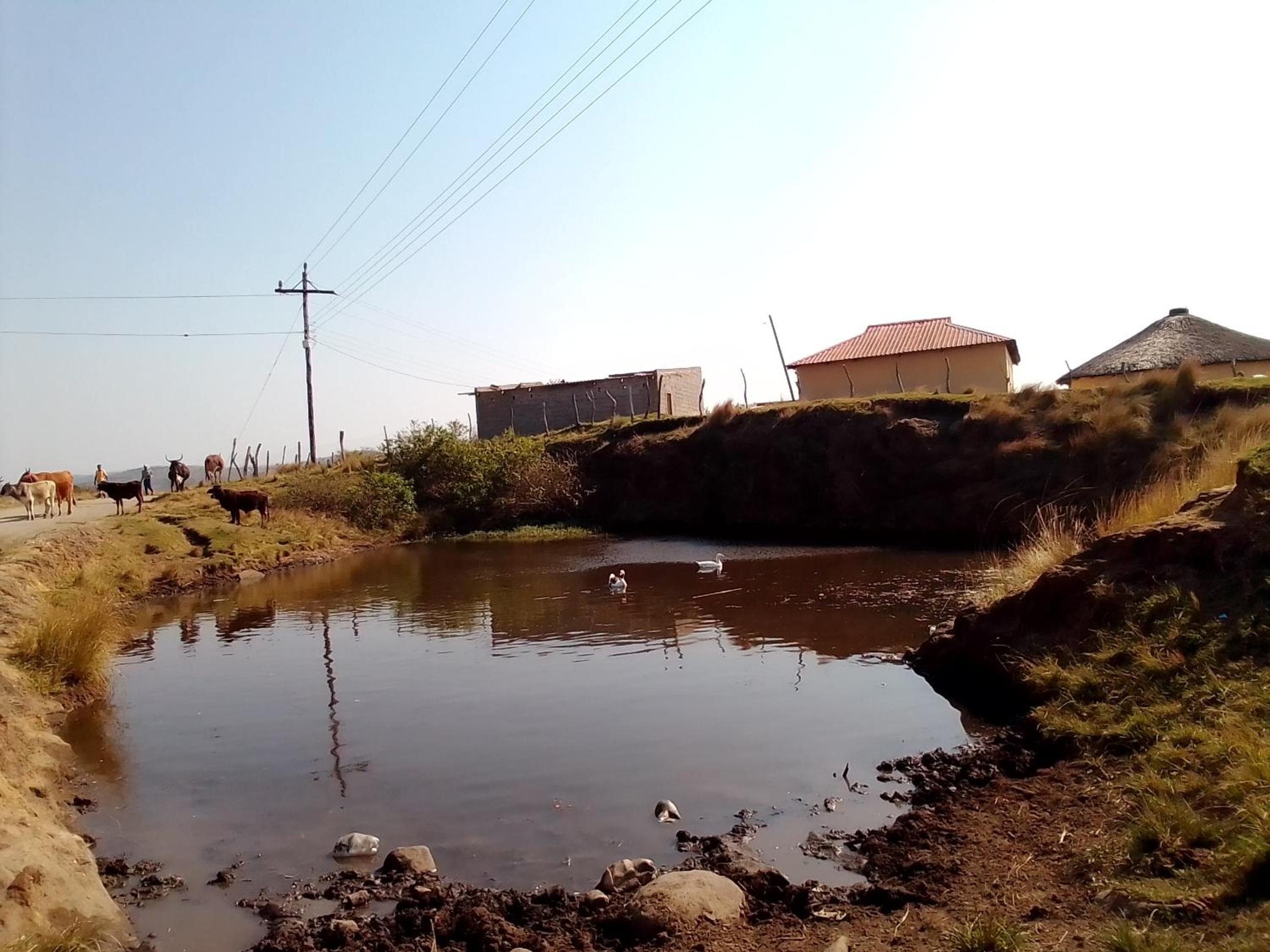 Tshezi Family view 3