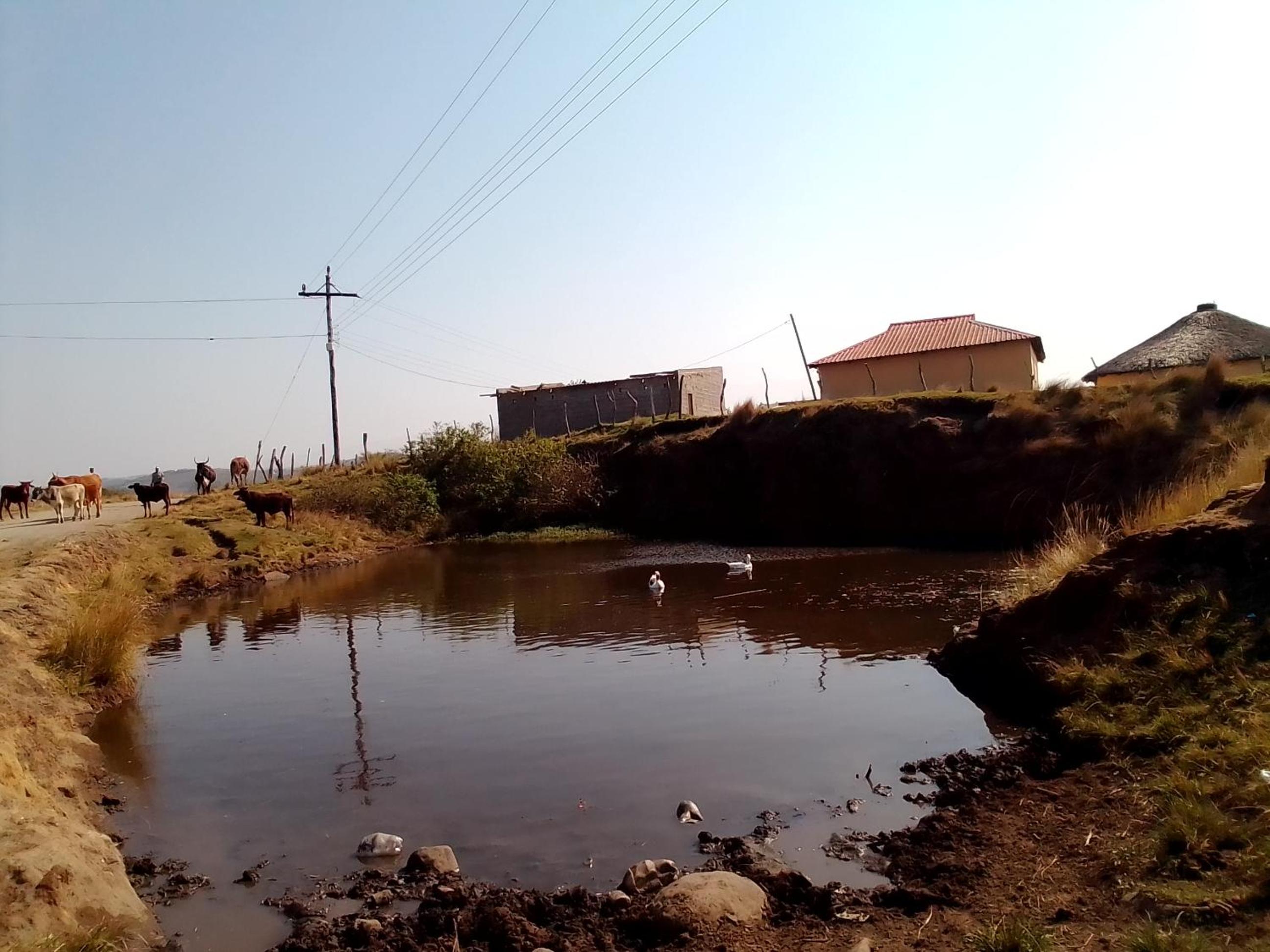 Tshezi Family view 5