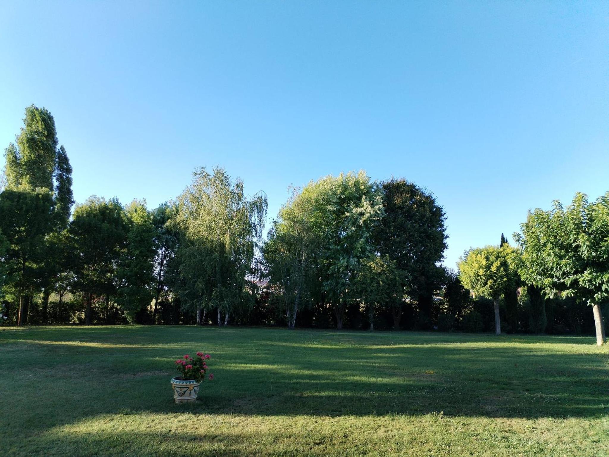 Photo 31