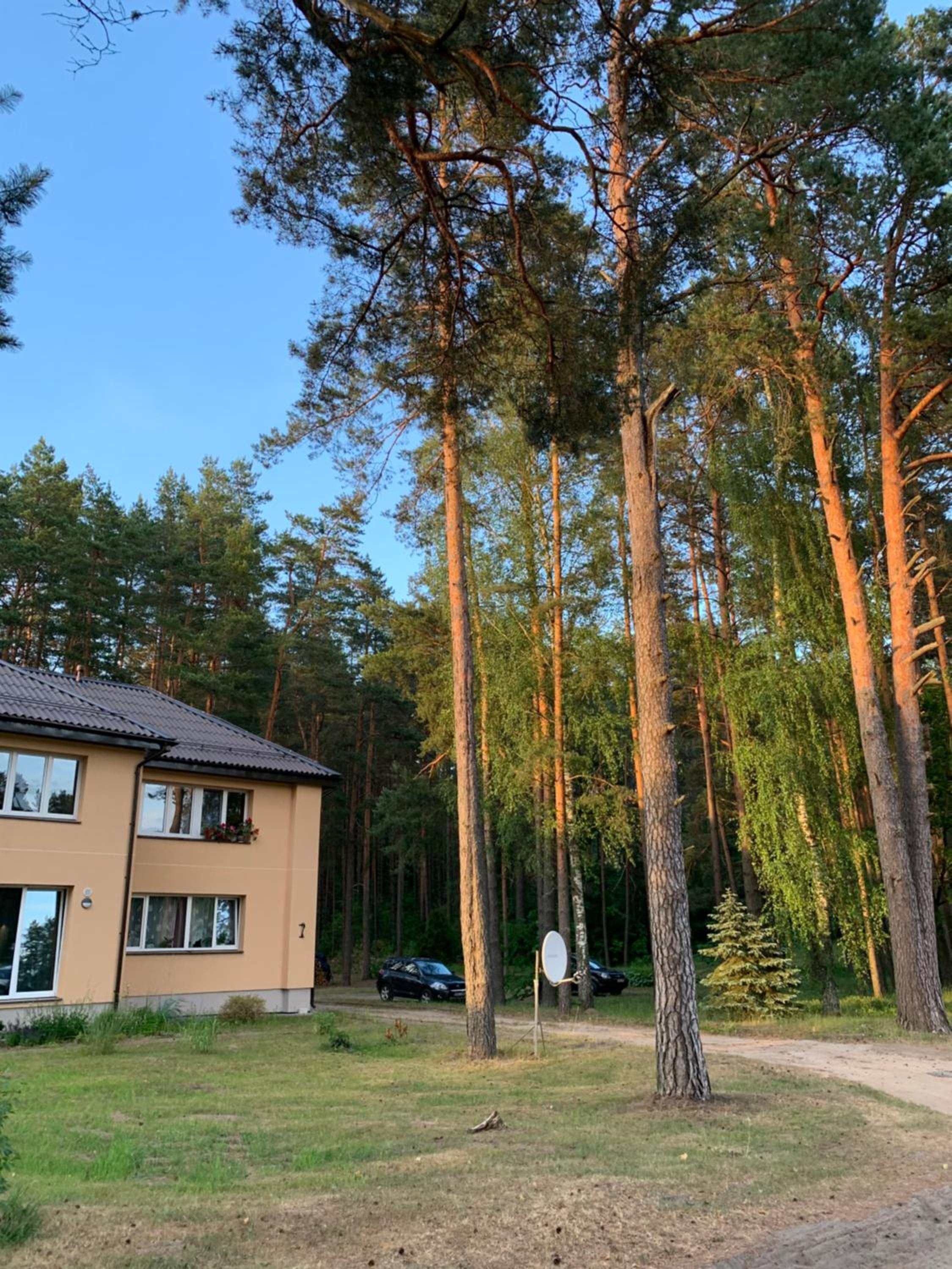 Palūšės Apartment