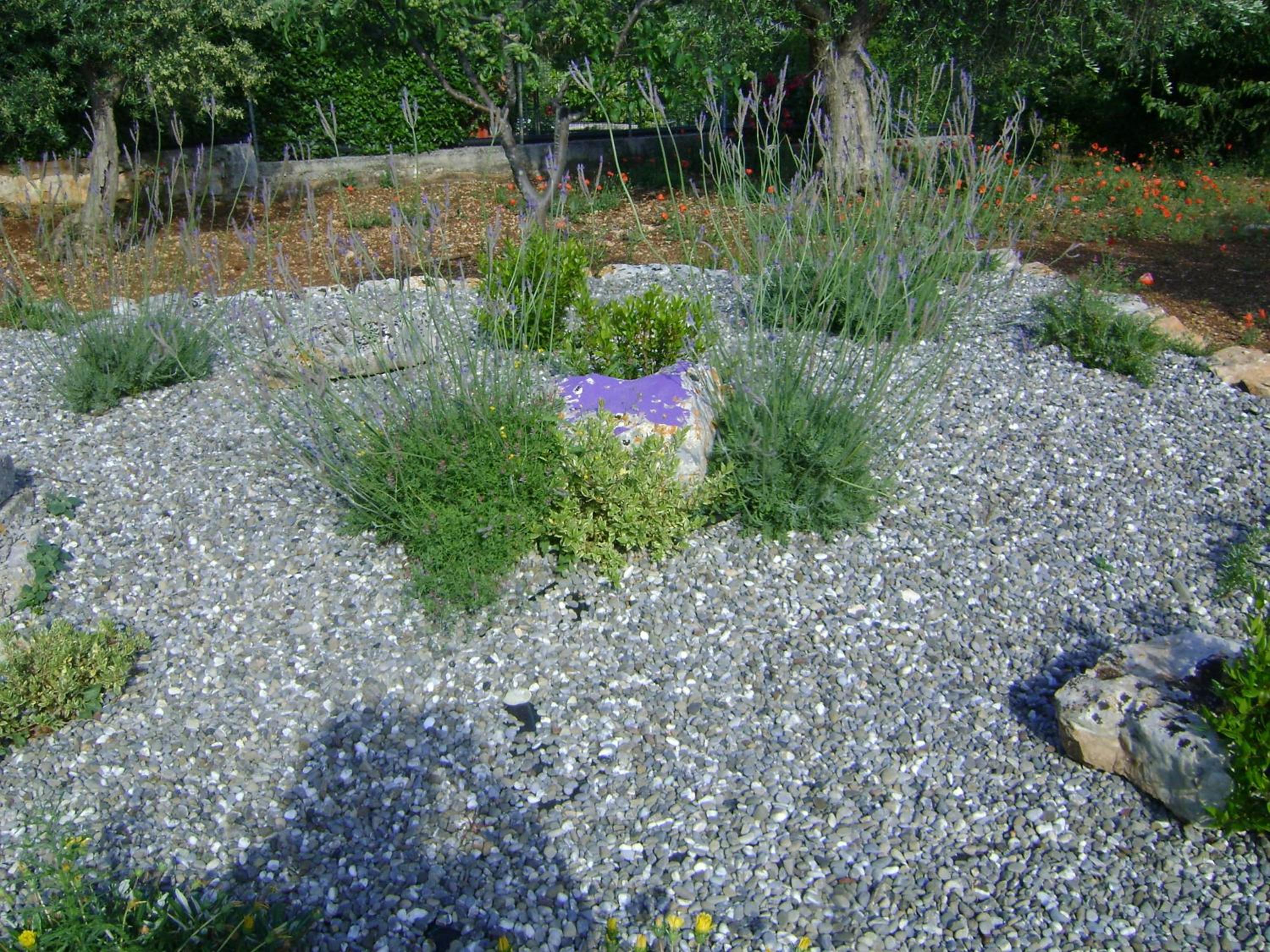 B&B Tenuta Ranieri