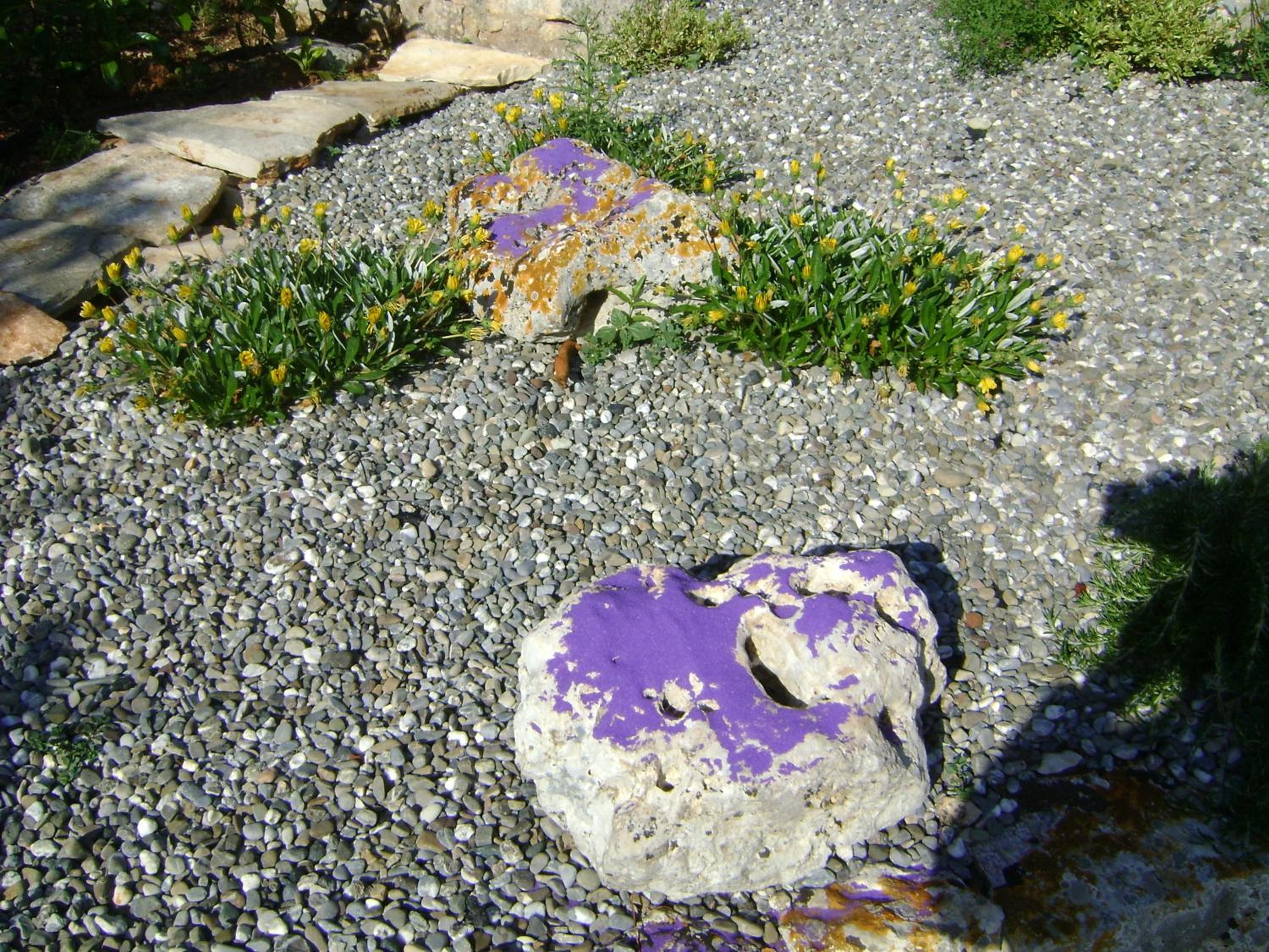 B&B Tenuta Ranieri