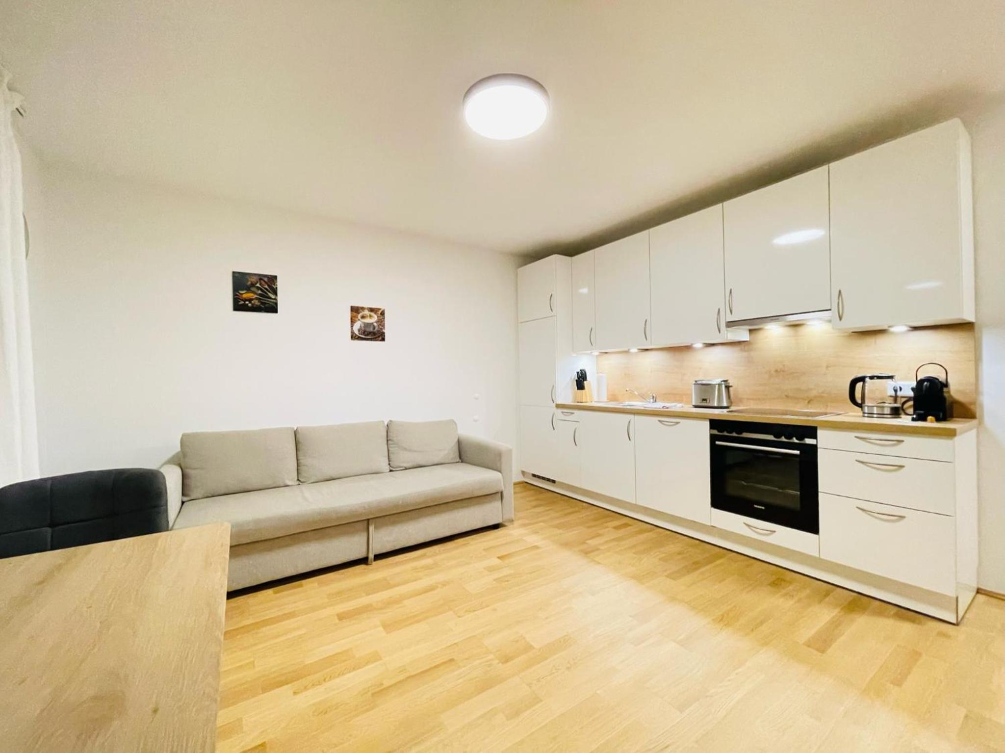 Vienna Style Apartment
