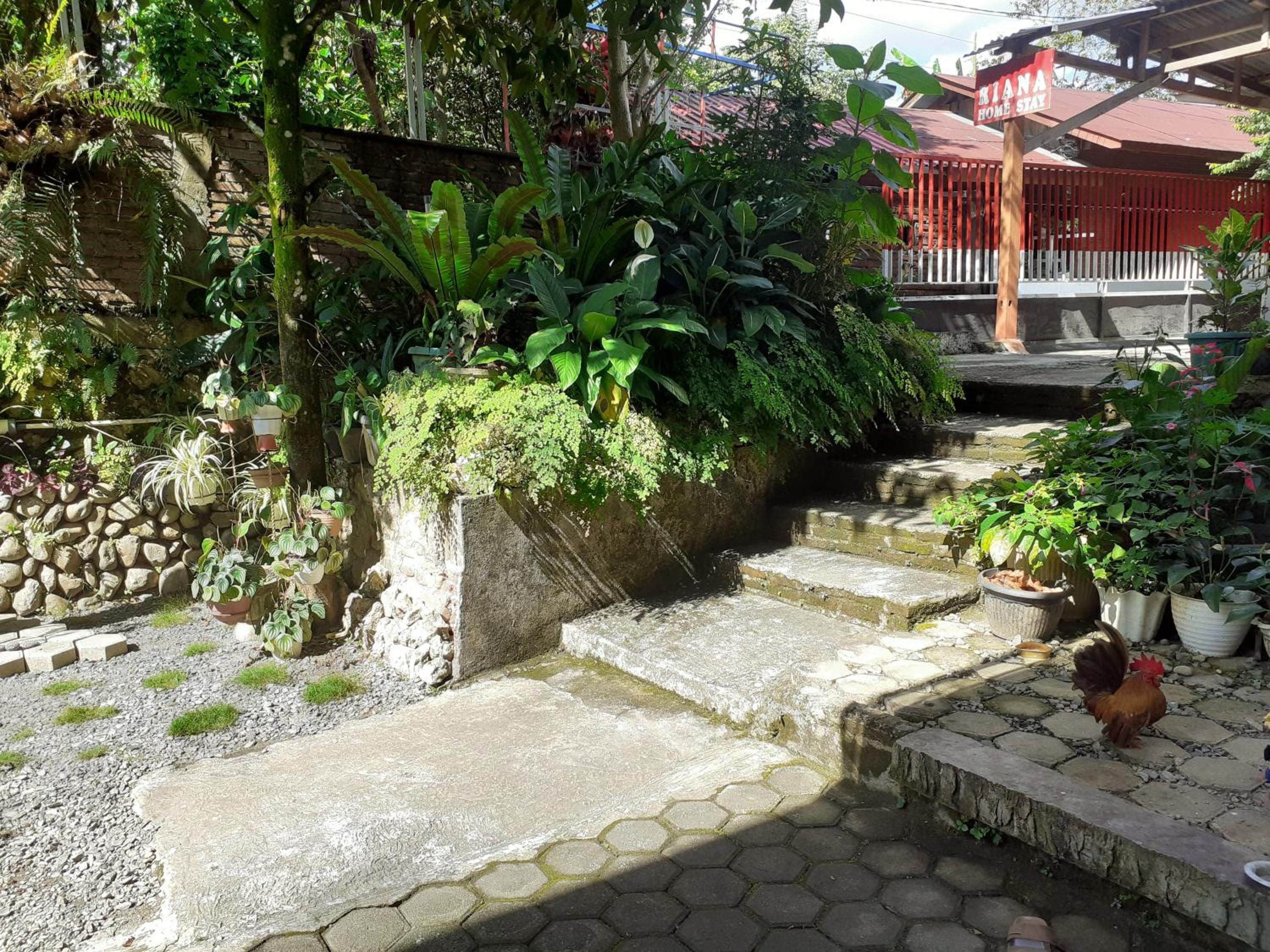Riana's Homestay view 5