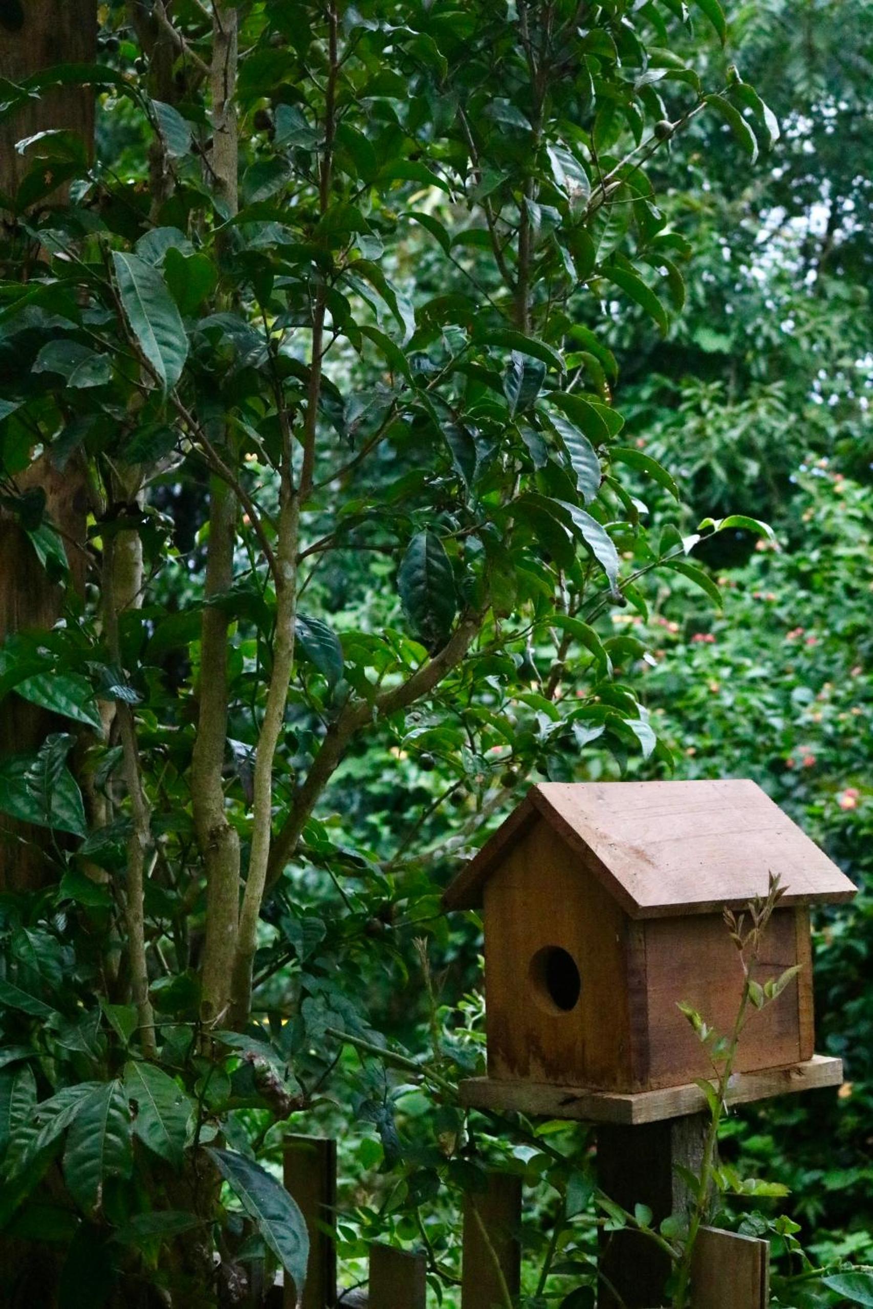 YLang Home Măng Đen