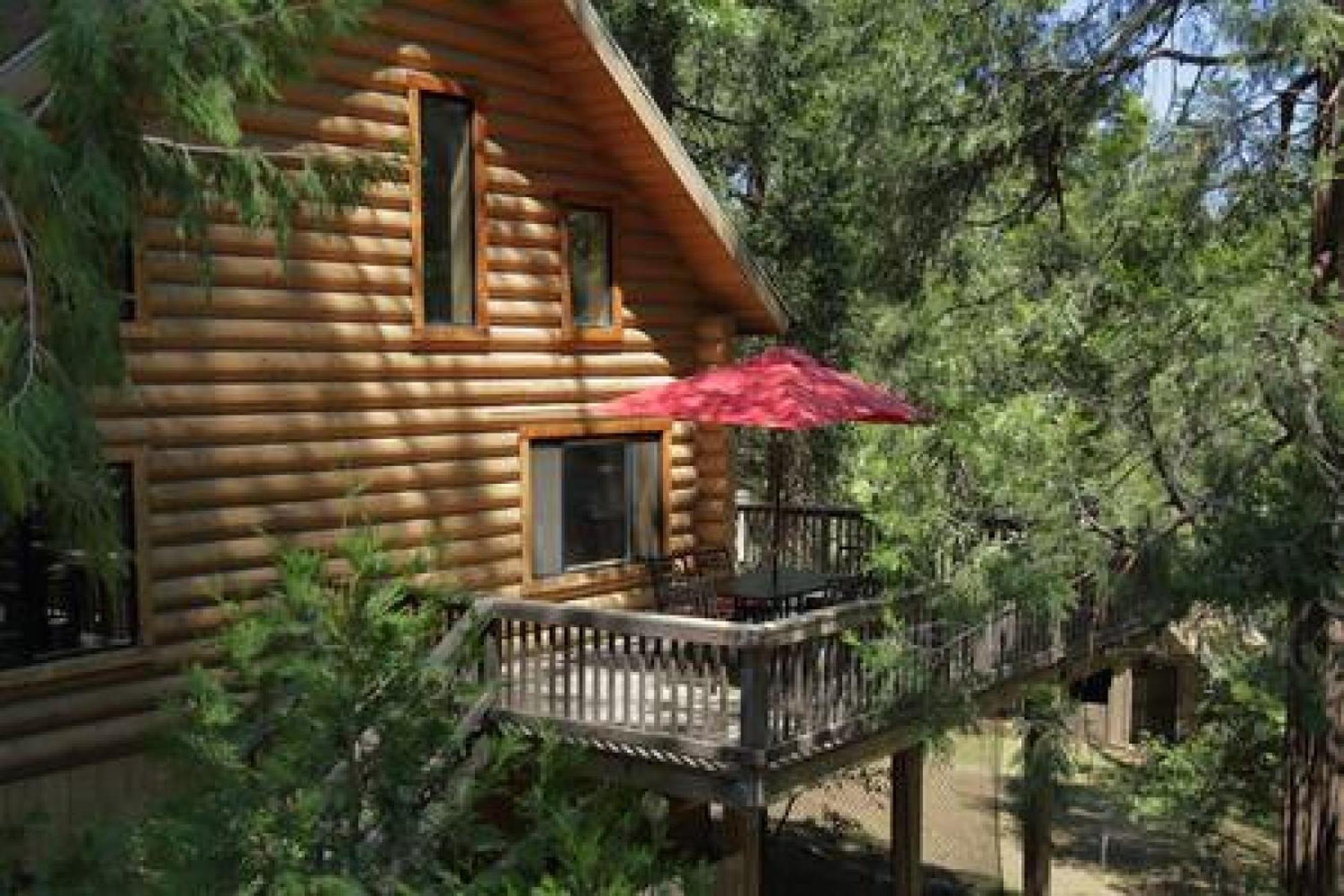 Rustic Elegance - A Woodland Escape view 4