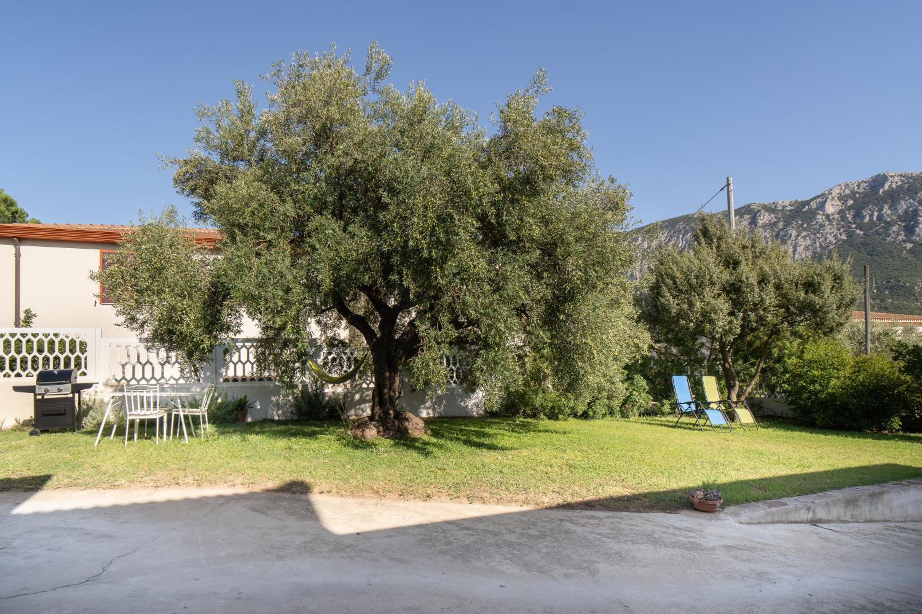 Photo 26