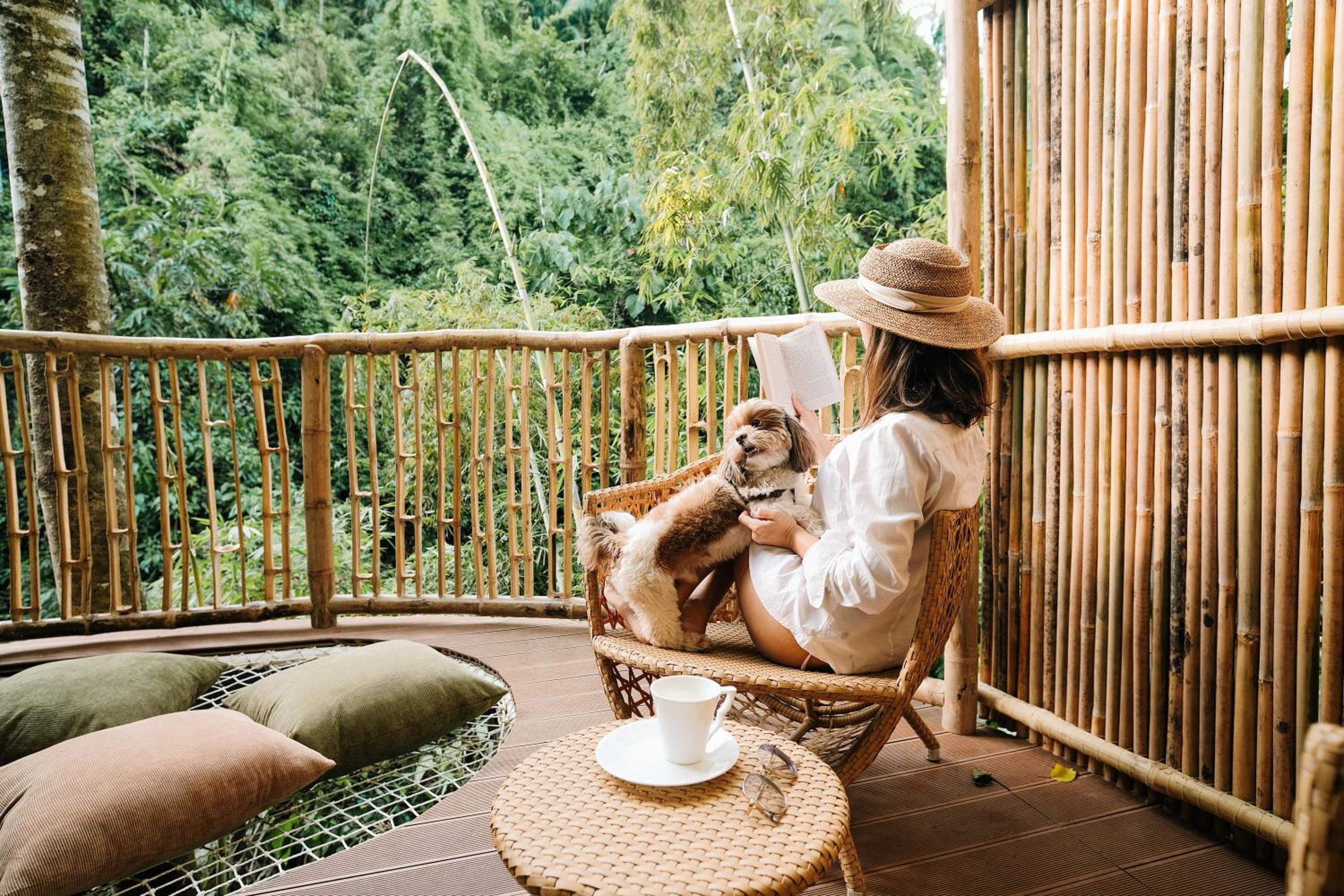 Treehouse de Valentine