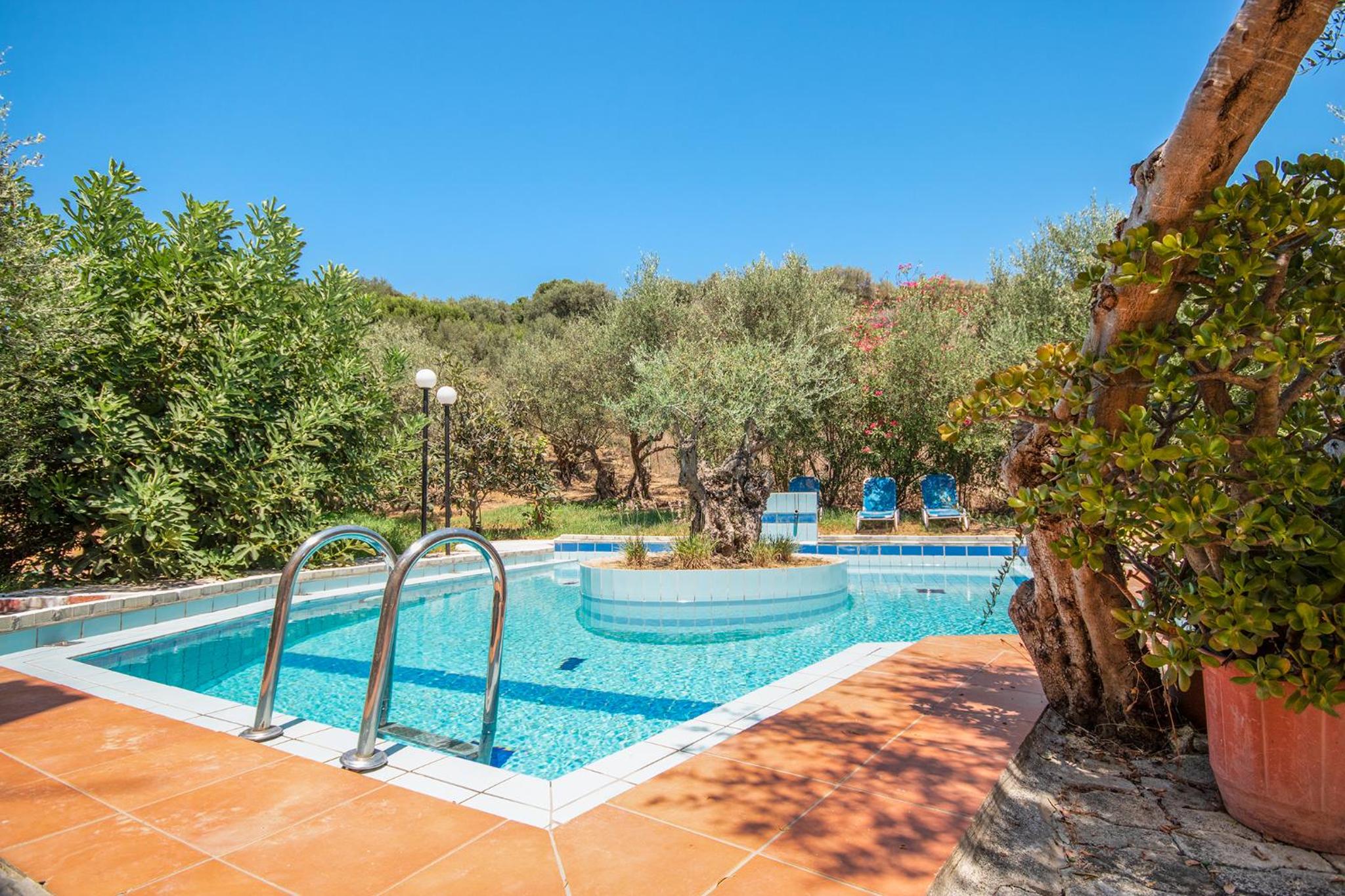 Olive Farm