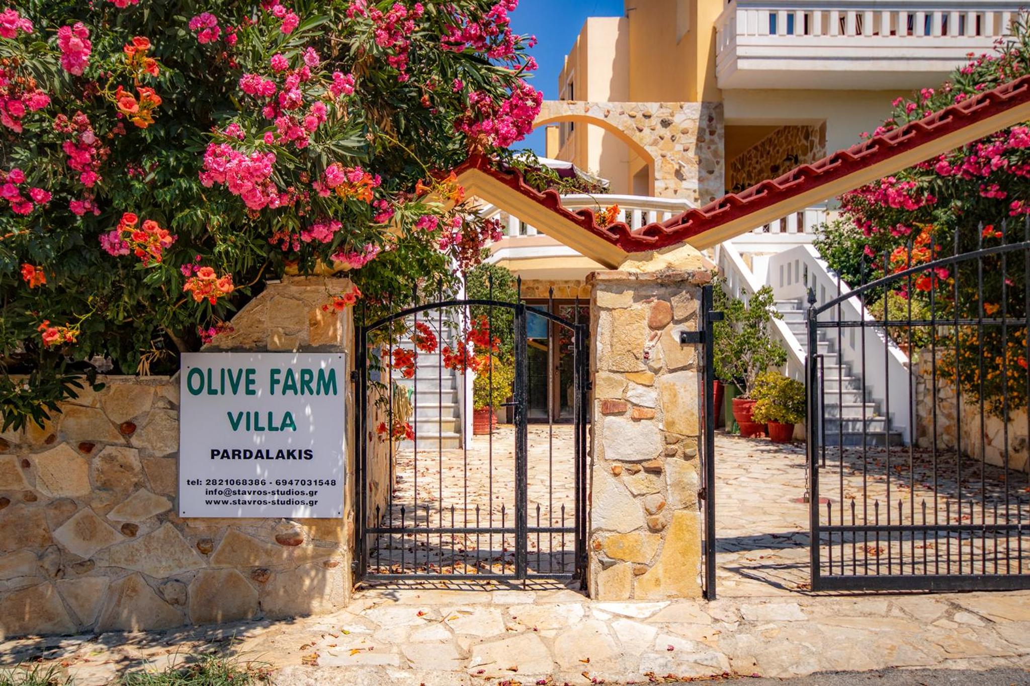 Olive Farm
