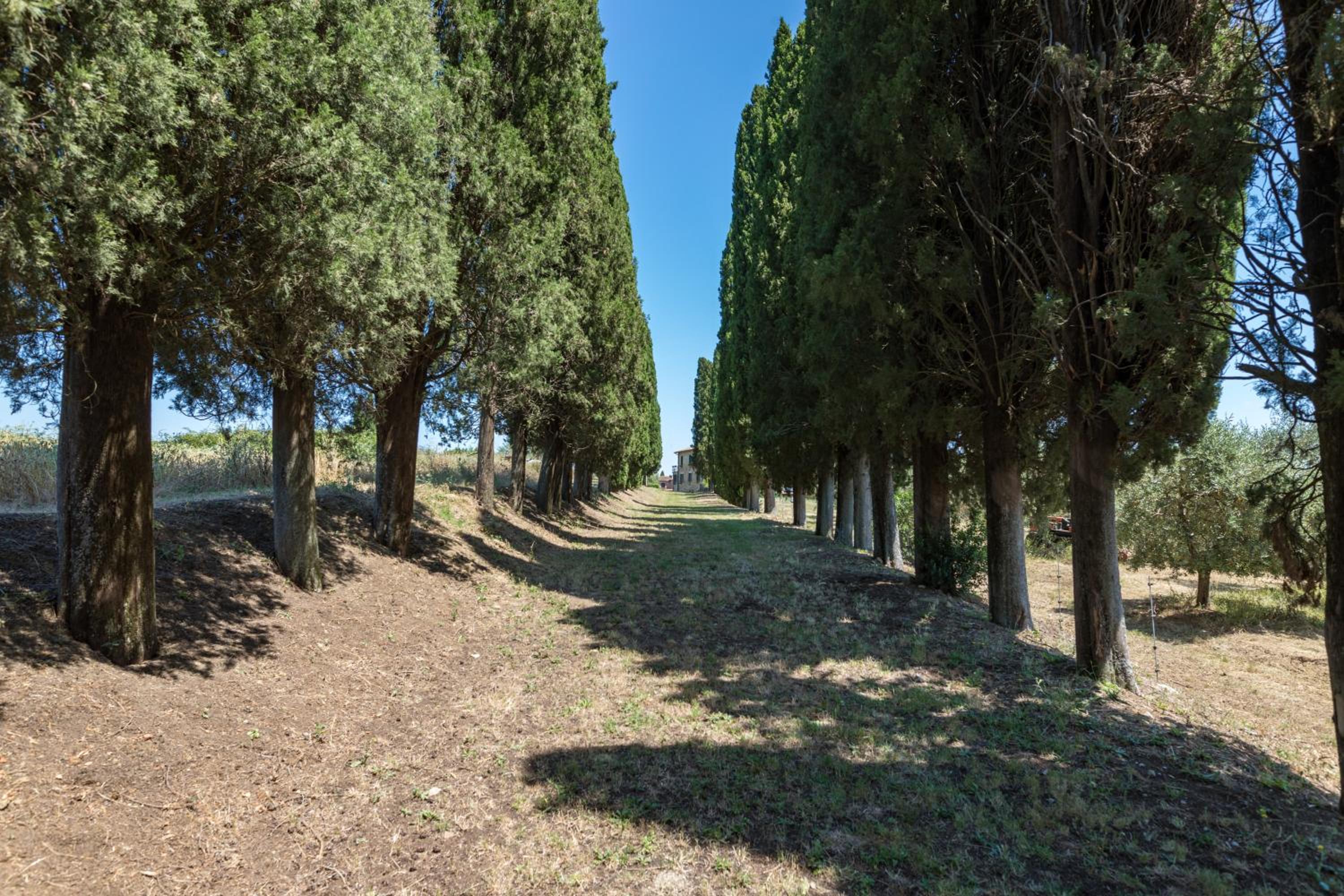 Agriturismo Spazzavento