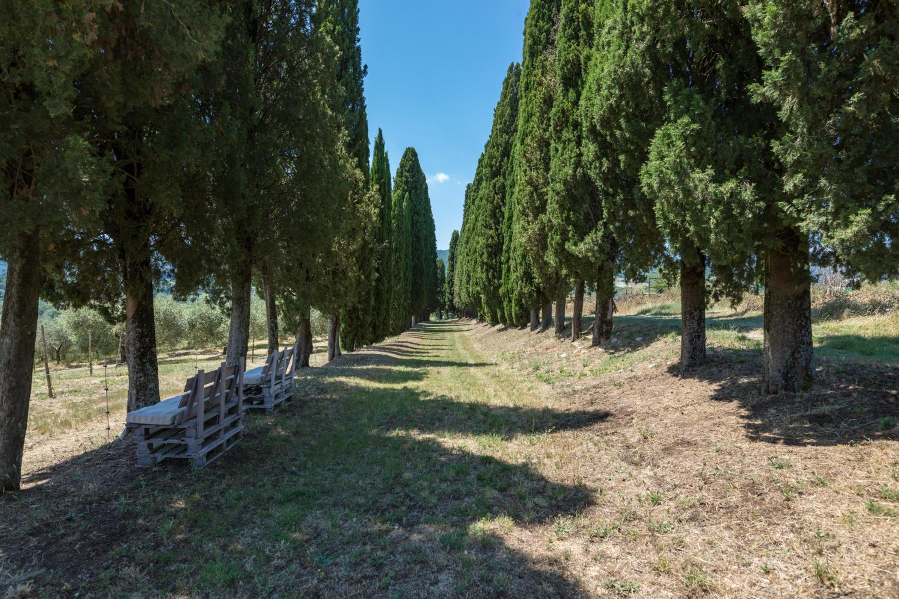 Agriturismo Spazzavento