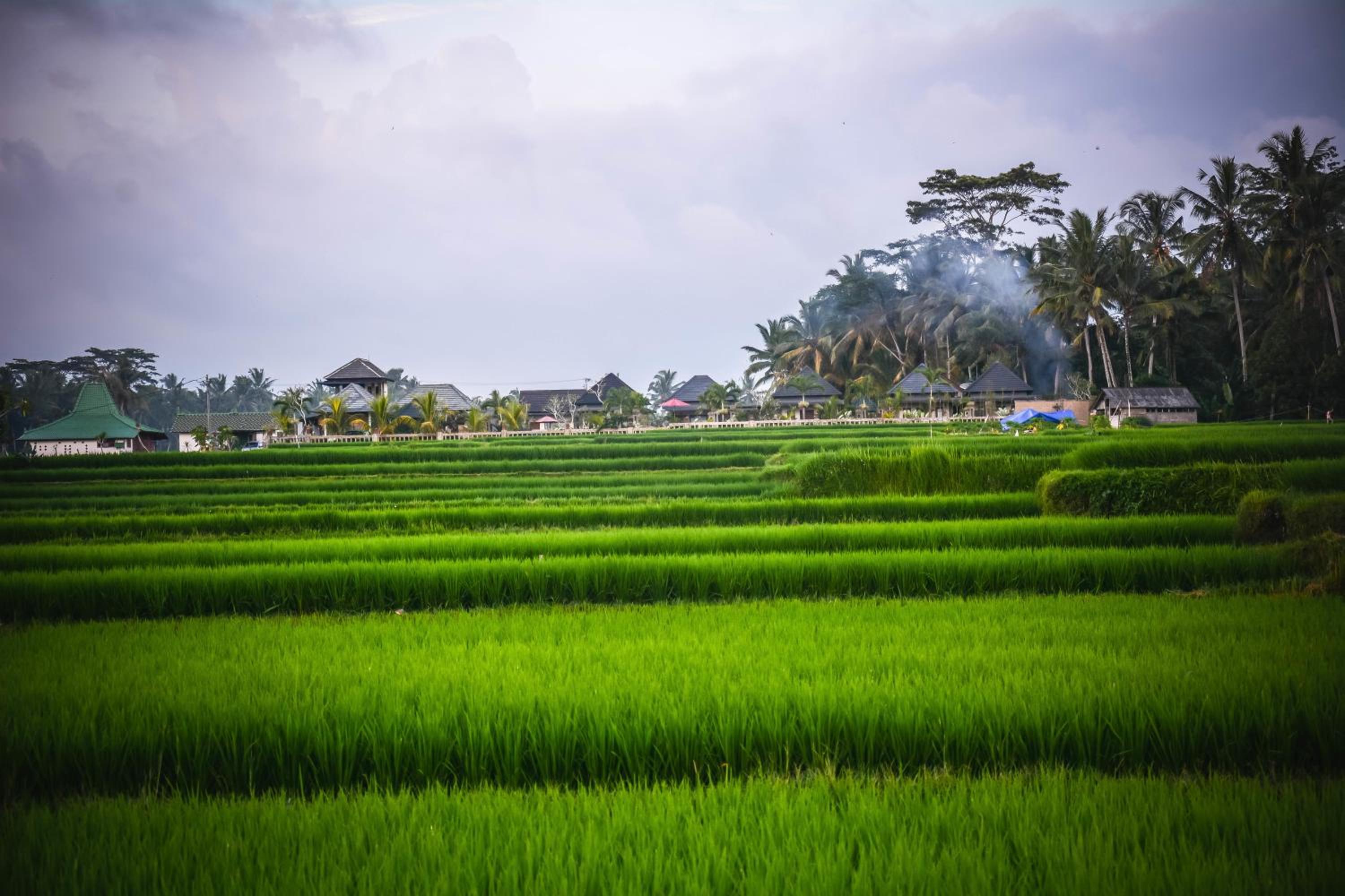 Villa JJ and Spa Ubud