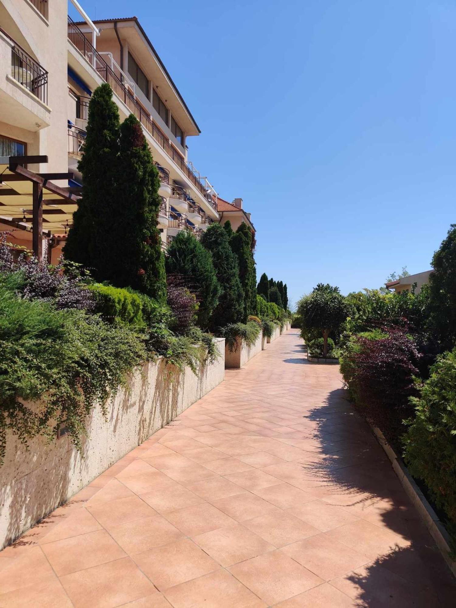 SUN AND FLOWERS APARTMENTS in front of the sea