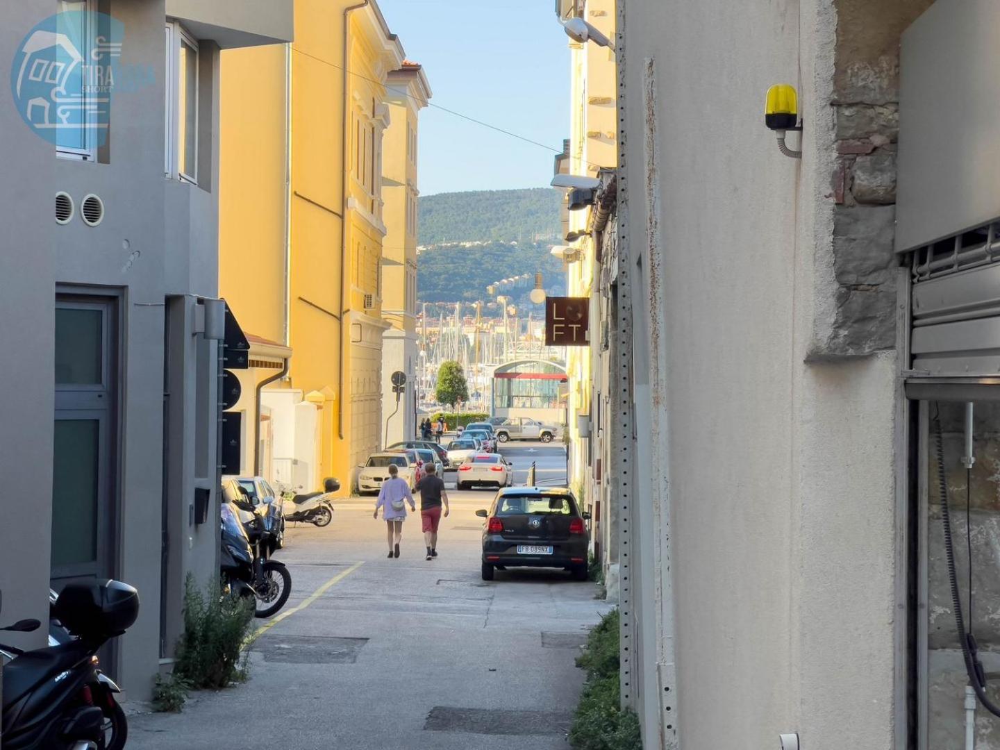 Economo B1 Tirabora Short Rent photo 3