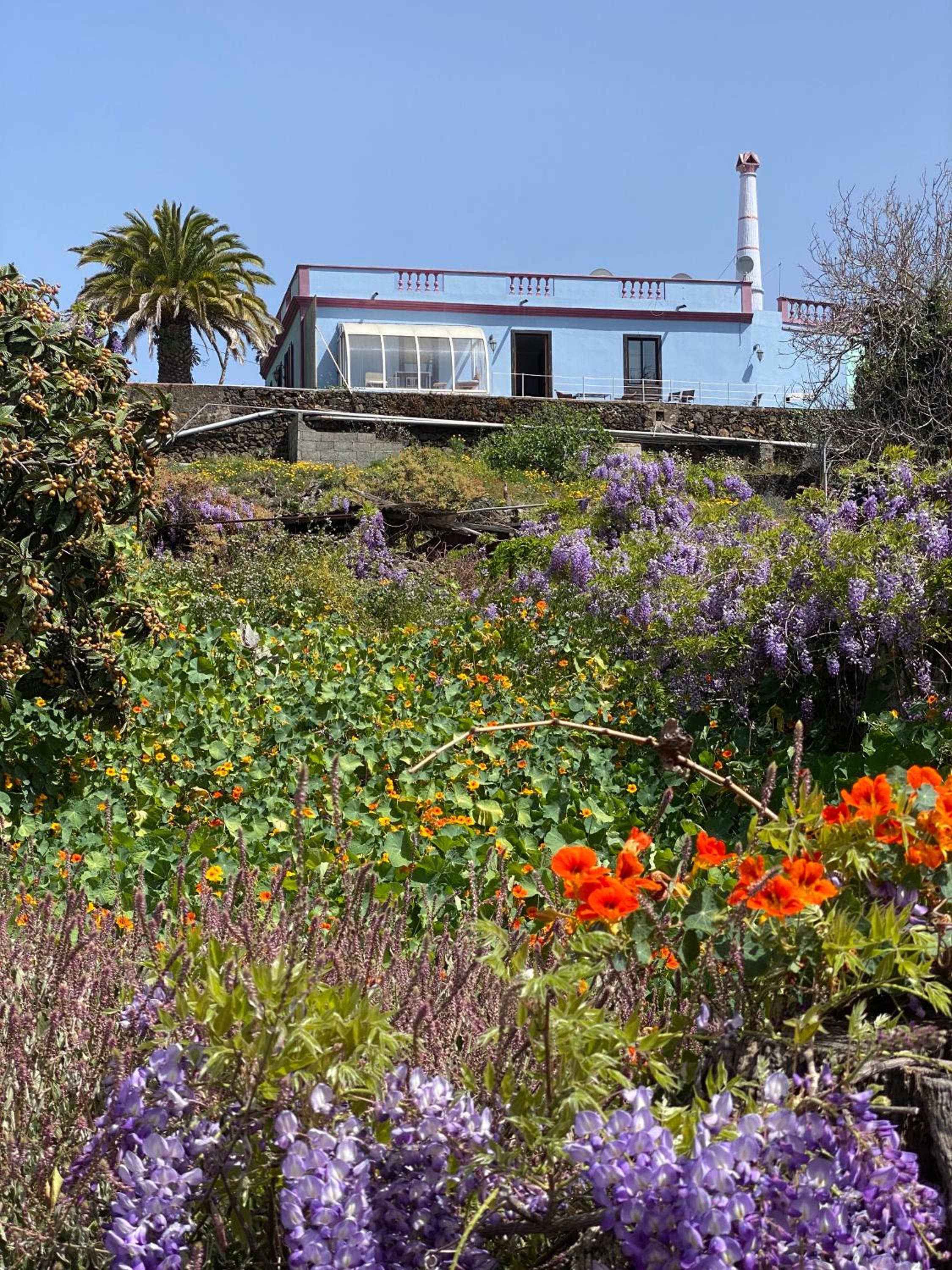 Casa Palmera Canaria, früher Finca Sambal