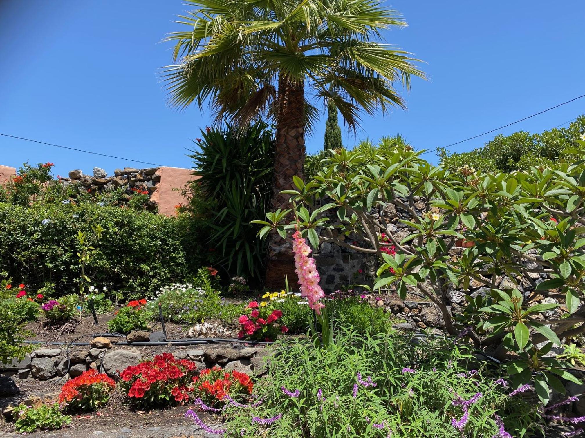 Casa Palmera Canaria, früher Finca Sambal