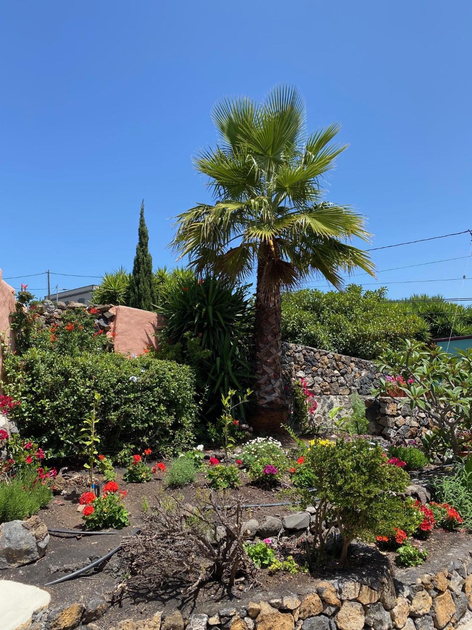 Casa Palmera Canaria, früher Finca Sambal