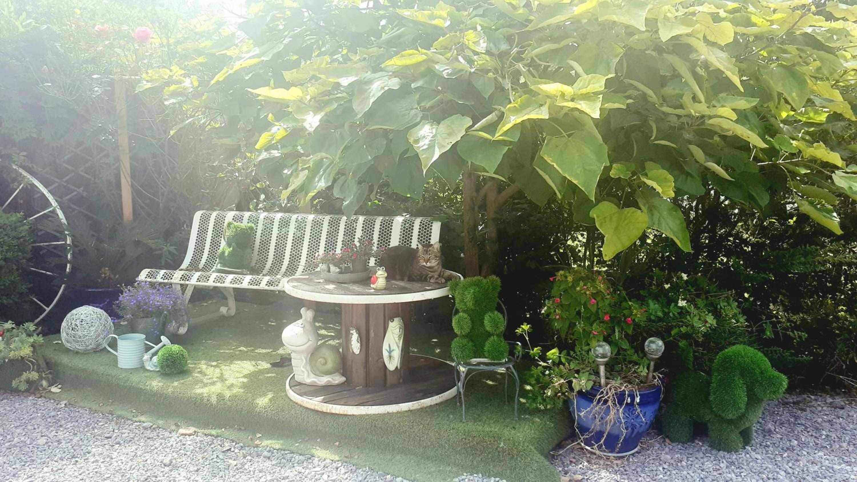 Photo 16