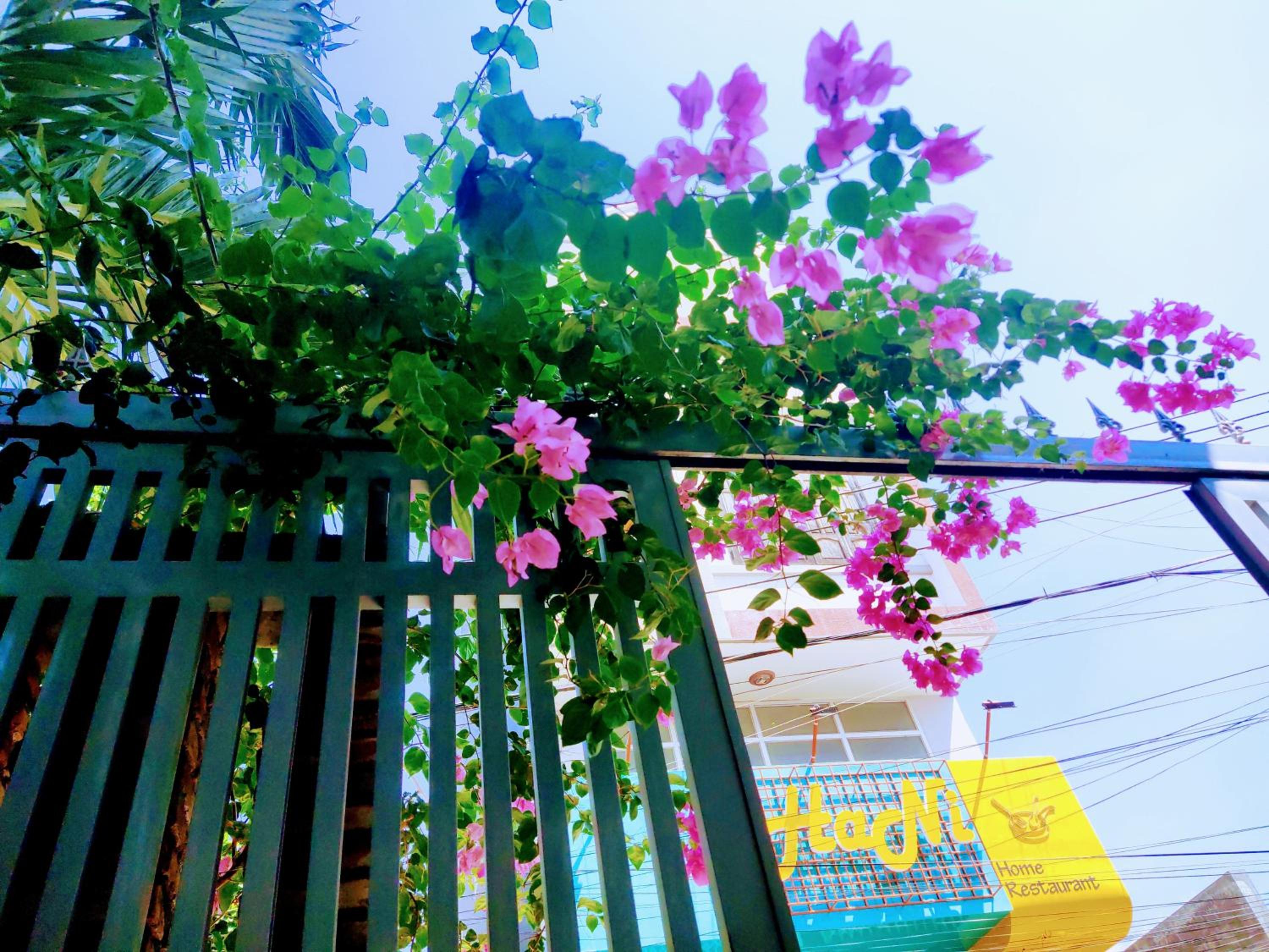 Nạp Homestay
