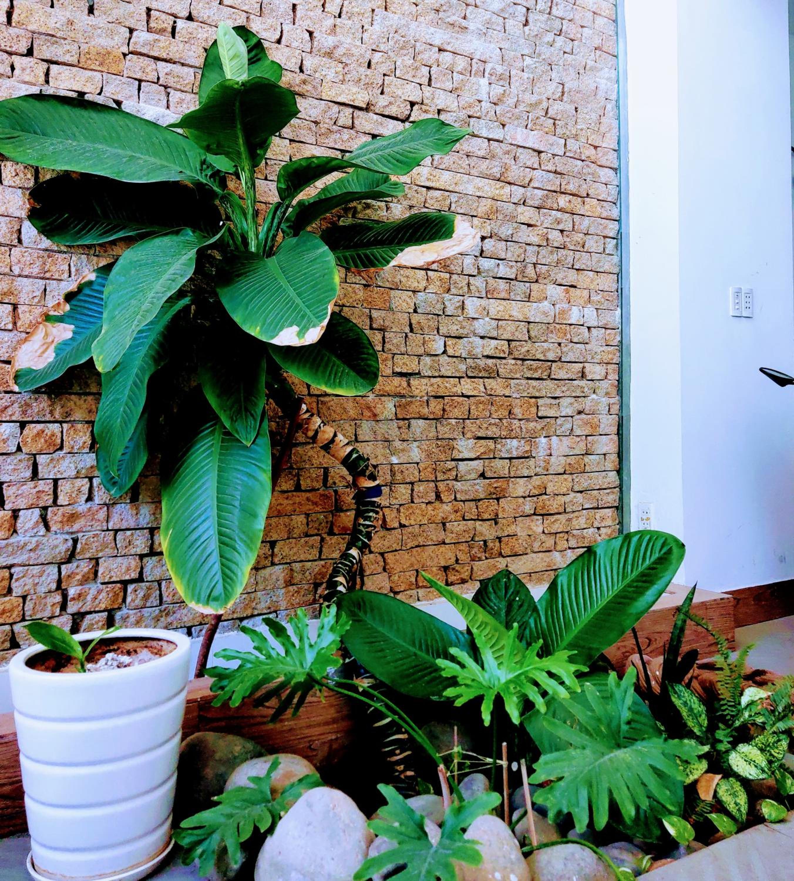 Nạp Homestay, photo 15