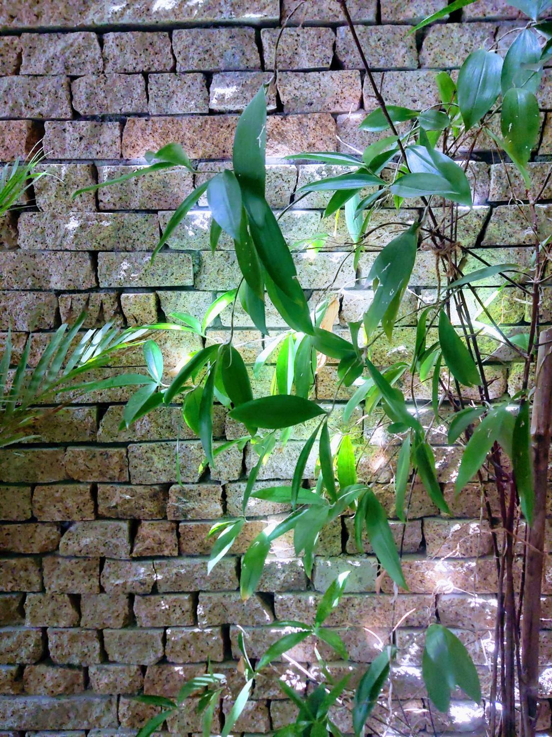 Nạp Homestay, photo 29